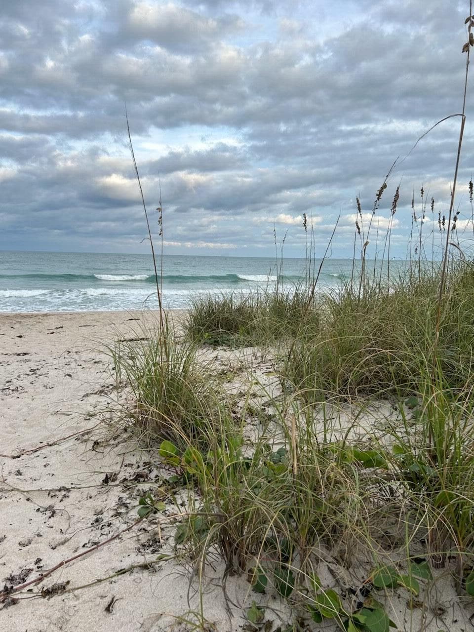 5051 N Highway A1a Ph 2-3, Hutchinson Island, FL 34949 — photo 54 of 58