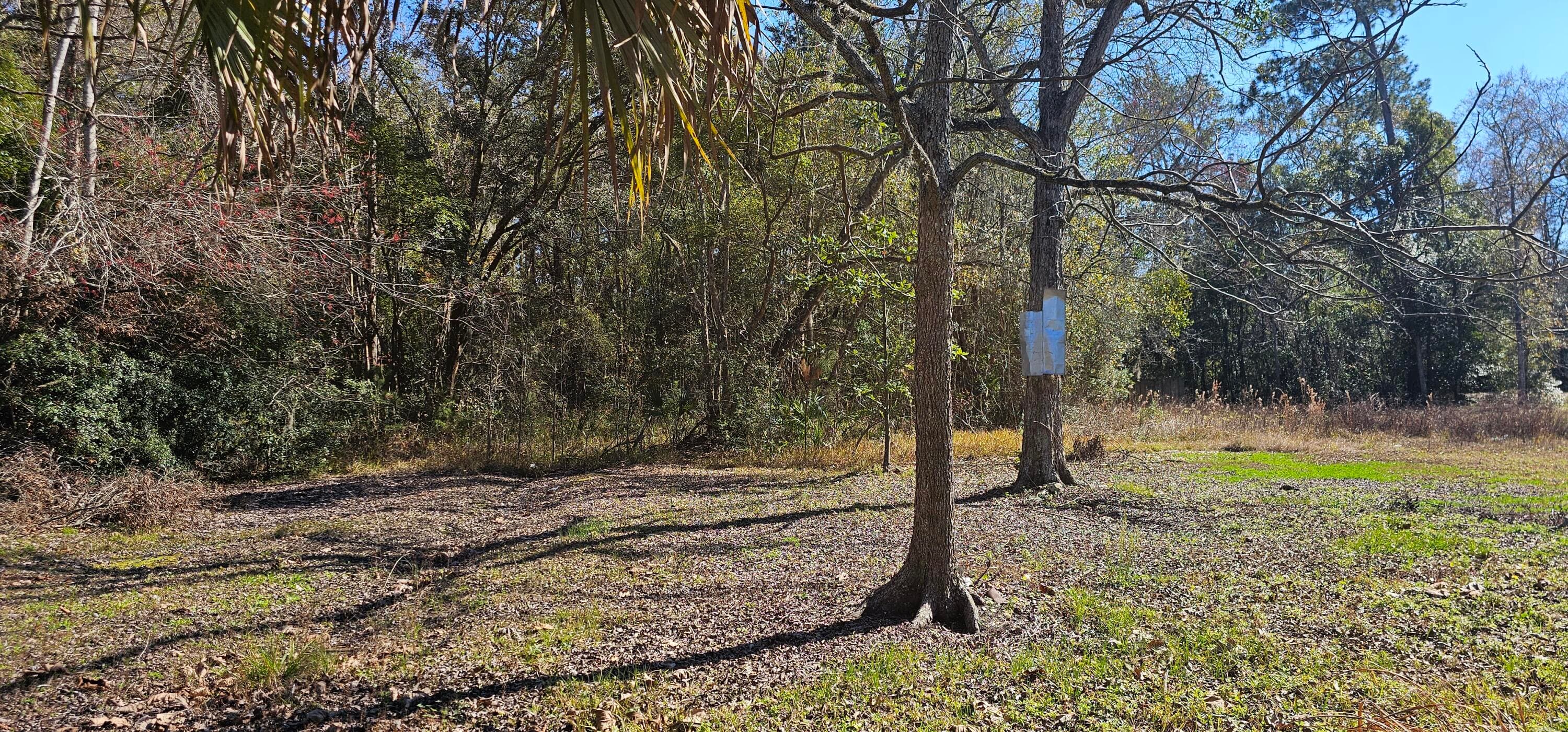 5676 Soutel Drive, Jacksonville, FL 32219 — photo 13 of 13