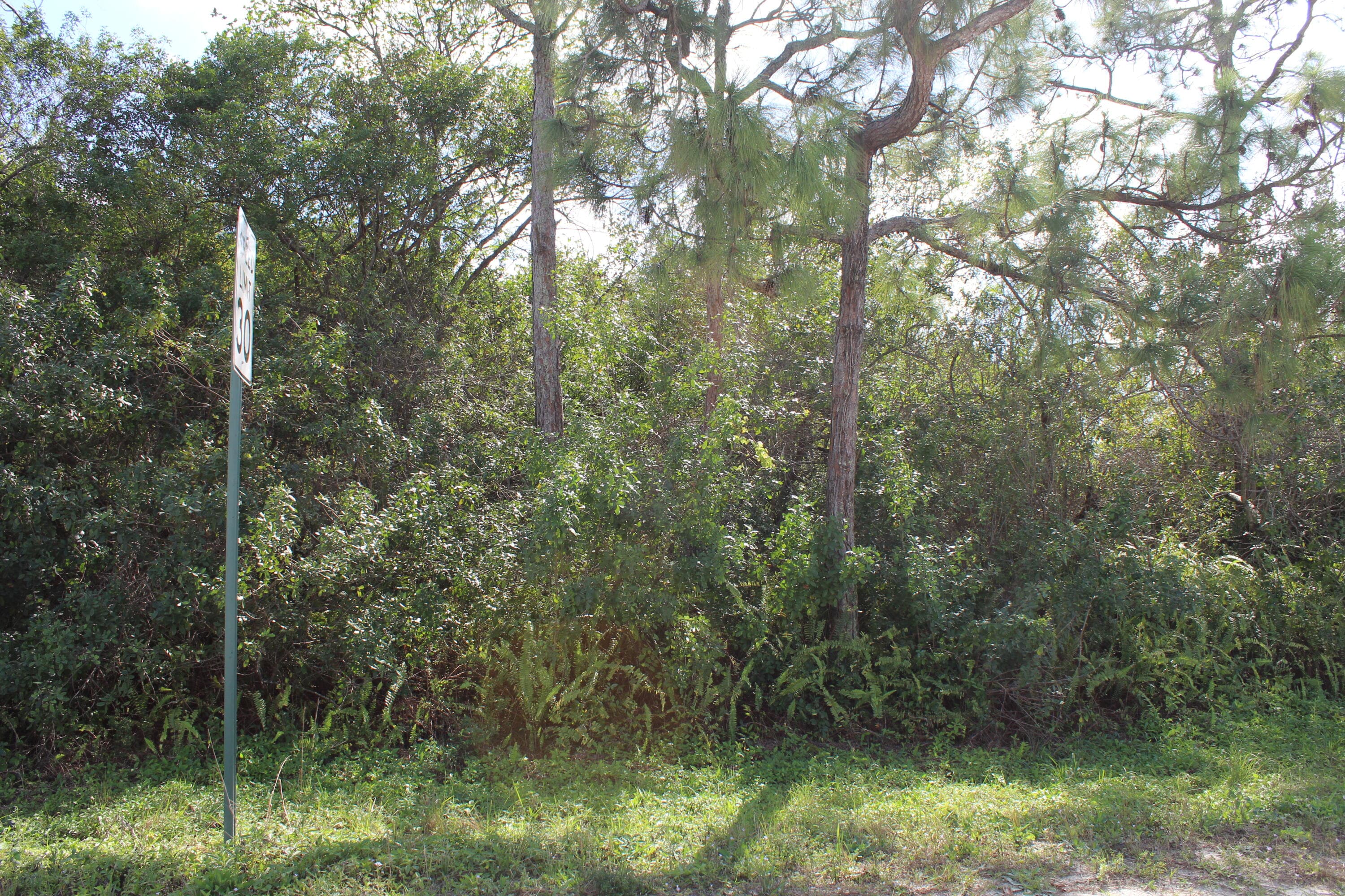 ''17992'' 94th Street N, Loxahatchee, FL 33470 — photo 16 of 18
