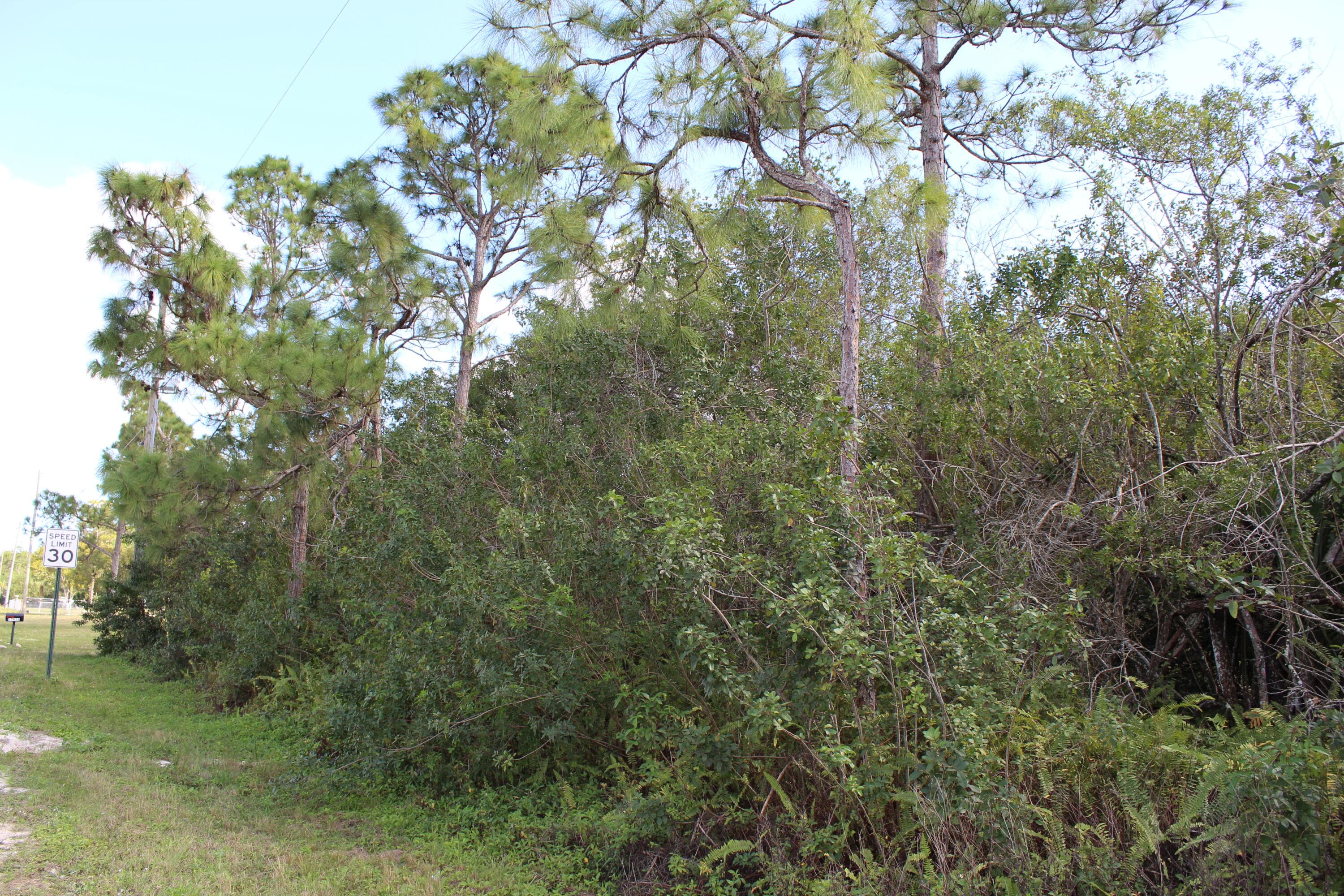 ''17992'' 94th Street N, Loxahatchee, FL 33470 — photo 12 of 18