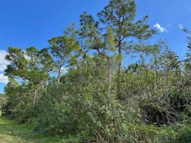 ''17992'' 94th Street N, Loxahatchee, FL 33470 — photo 5 of 18
