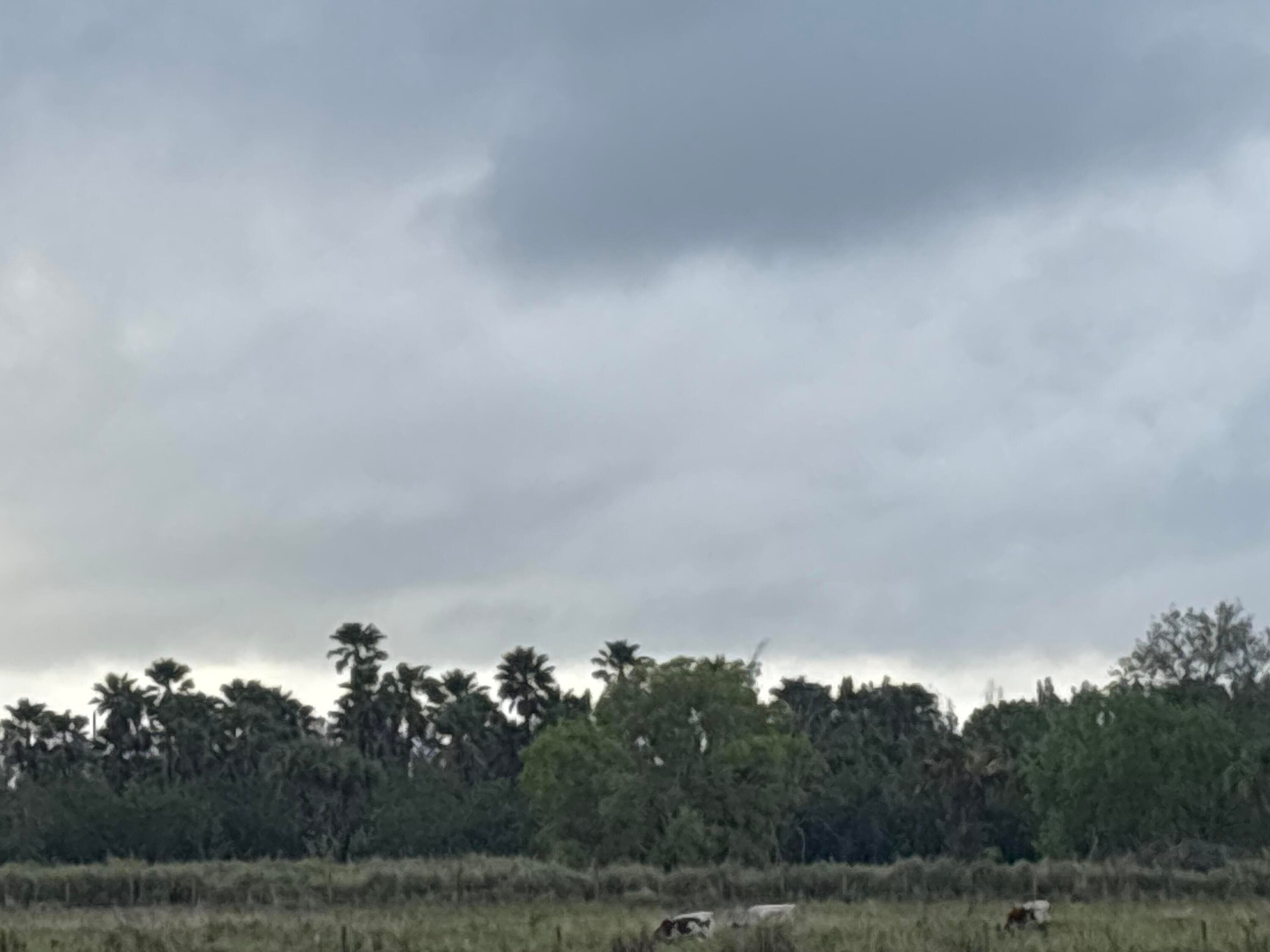 1425 S Header Canal Road, Fort Pierce, FL 34945 — photo 9 of 9