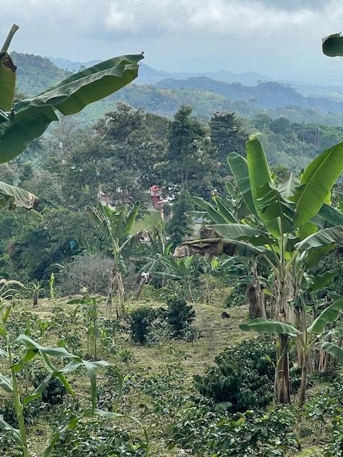 Colombia El Hatillo, Mariquita, Tol, Co — photo 1 of 24