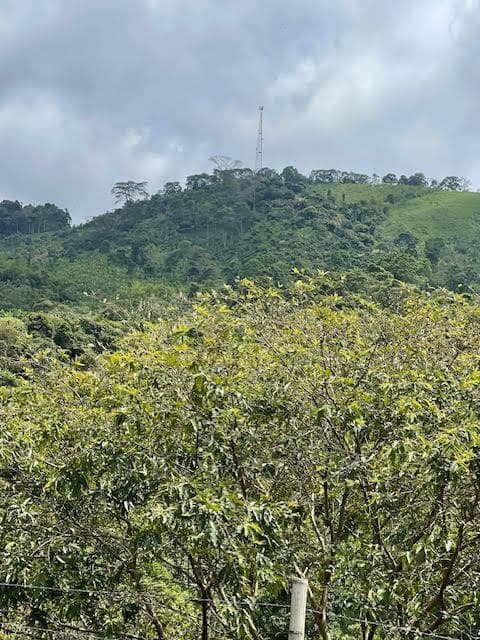 Colombia El Hatillo, Mariquita, Tol, Co — photo 2 of 24