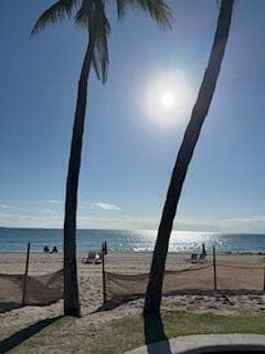701 SE 21st Avenue 302, Deerfield Beach, FL 33441 — photo 4 of 52
