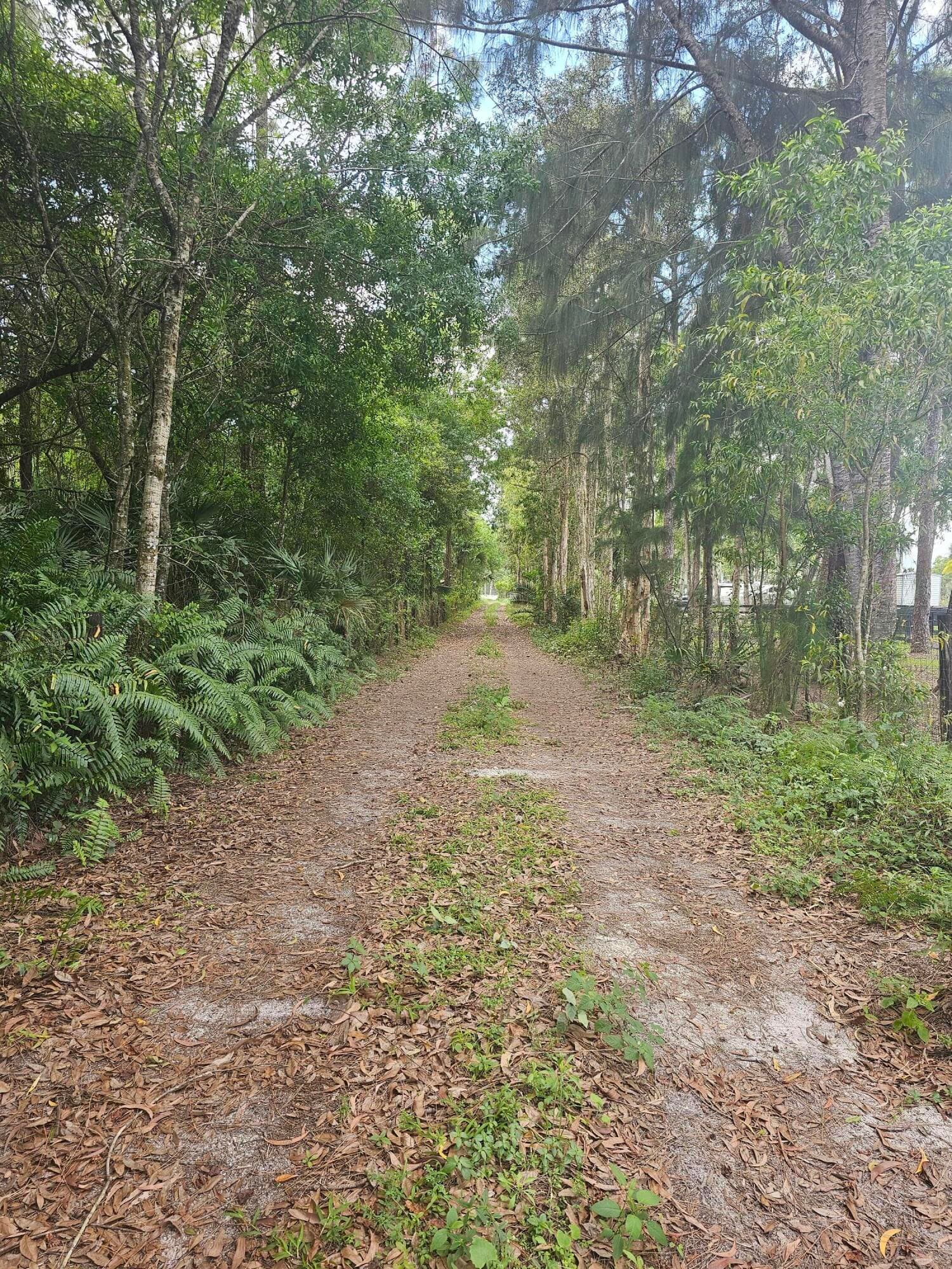 3556 B Road, Loxahatchee Groves, FL 33470 — photo 2 of 5