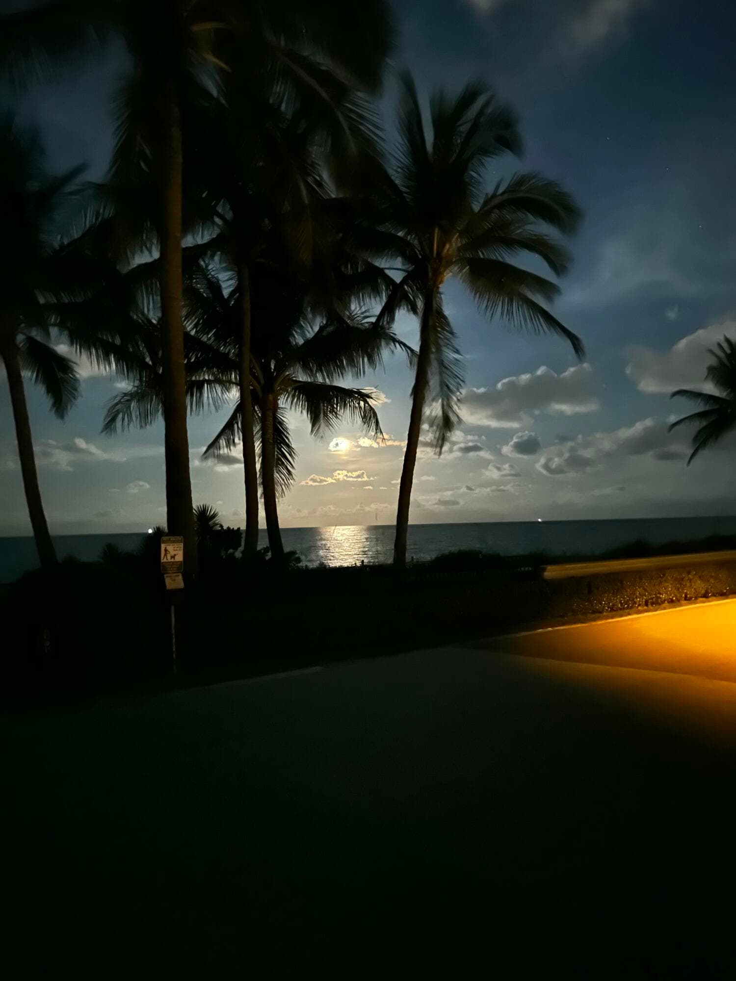 200 N Ocean Boulevard 1, Palm Beach, FL 33480 — photo 58 of 66