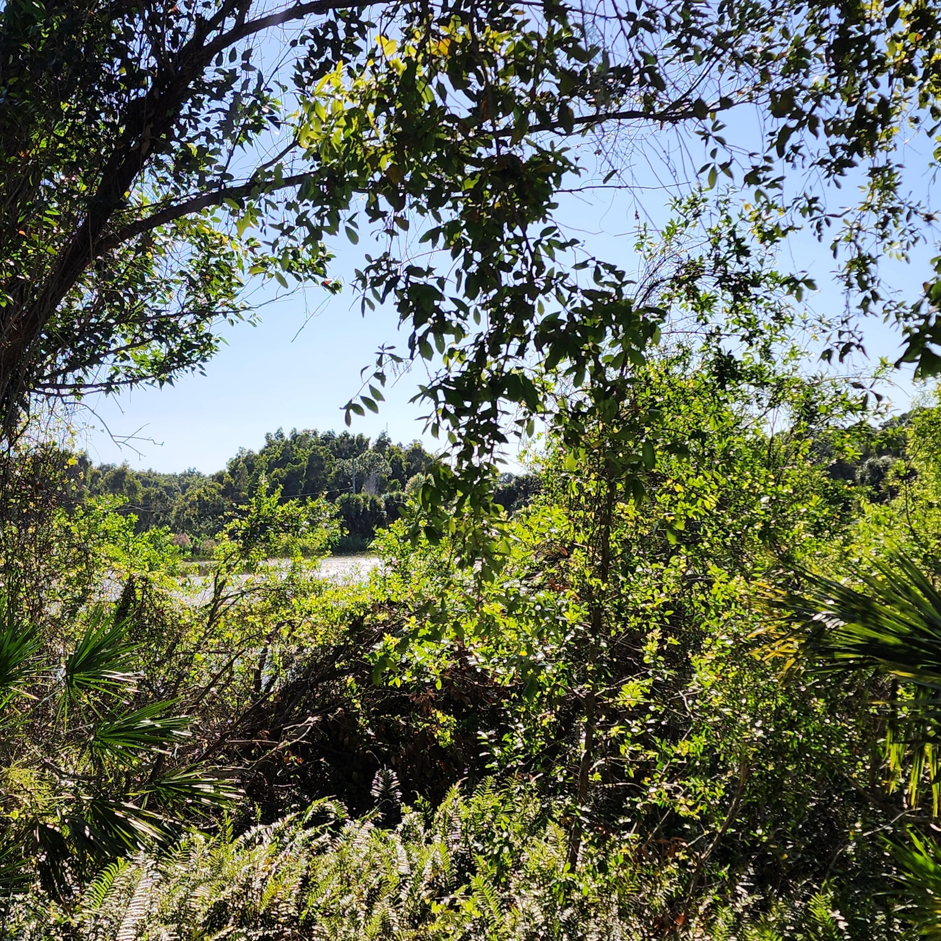1225 NE Savannah Road 104, Jensen Beach, FL 34957 — photo 17 of 20