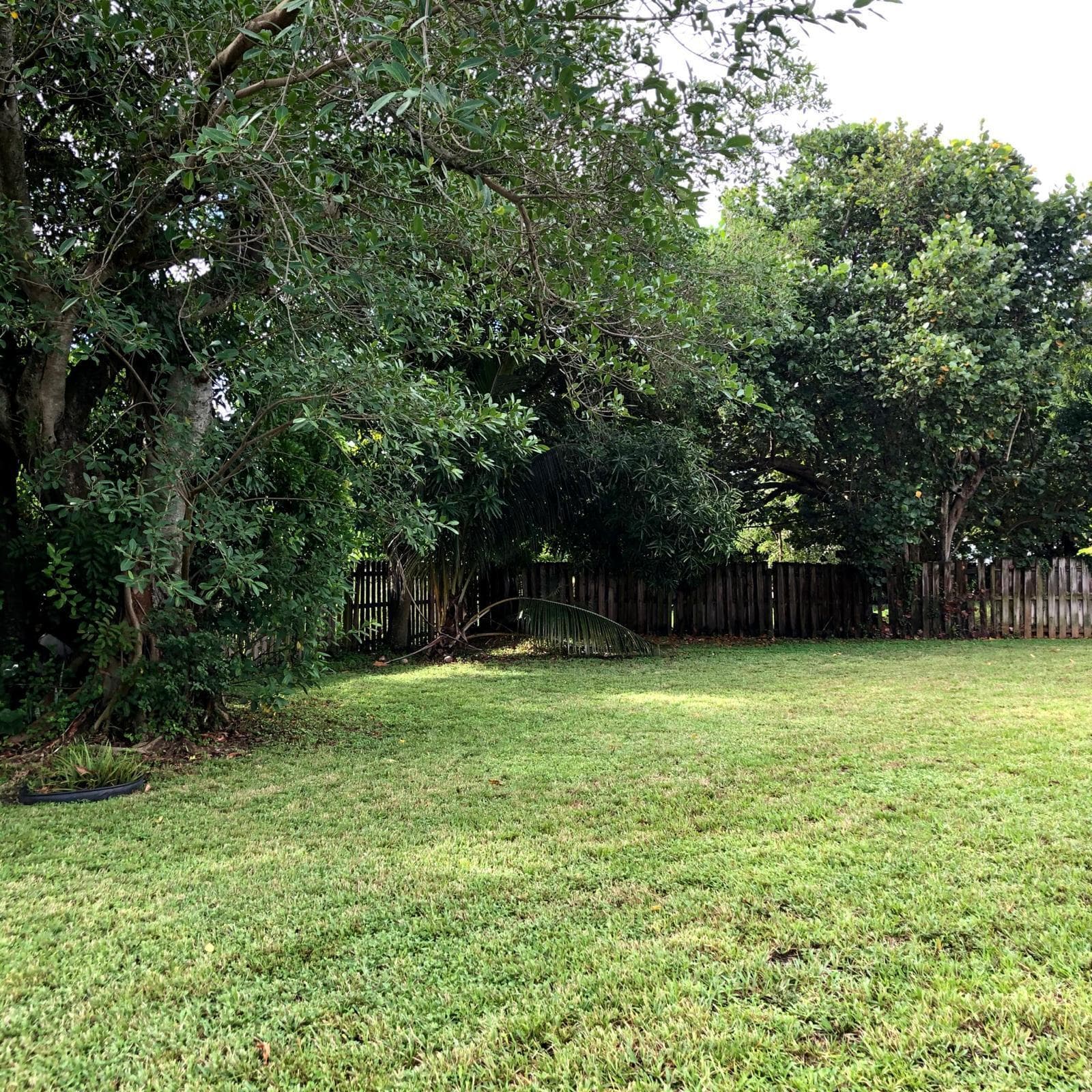 701 SW 8th Avenue, Delray Beach, FL 33444 — photo 29 of 30