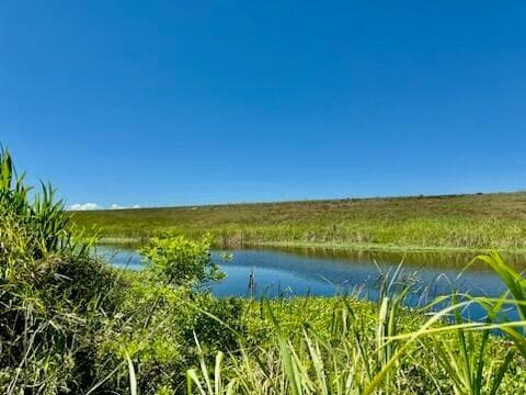 5646 Us Hwy 441, Okeechobee, FL 34974 — photo 8 of 11