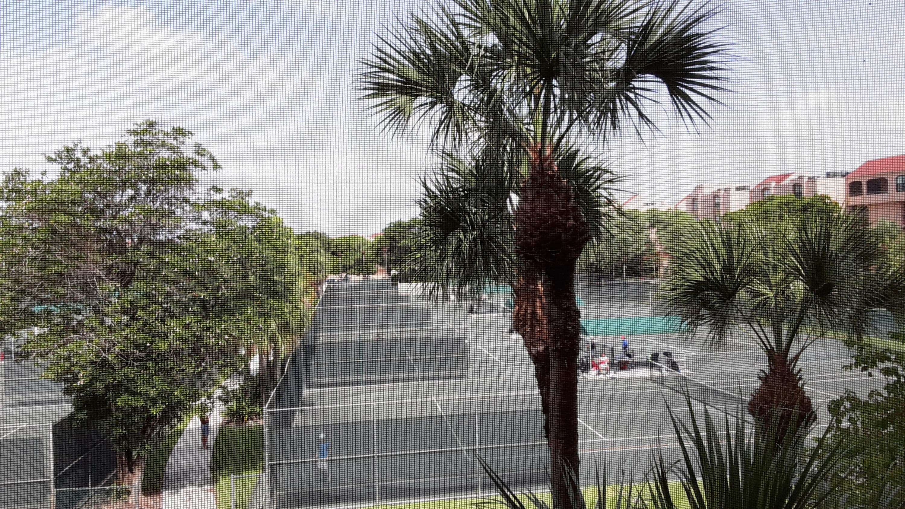 450 Egret Circle 9305, Delray Beach, FL 33444 — photo 21 of 33
