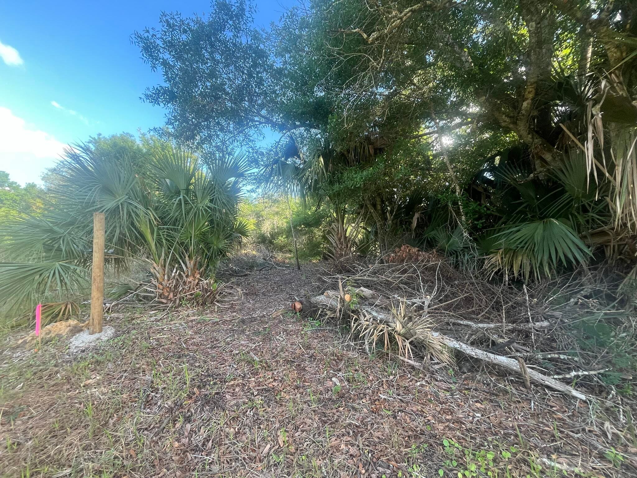 17774 NW 254th Street, Okeechobee, FL 34972 — photo 4 of 17