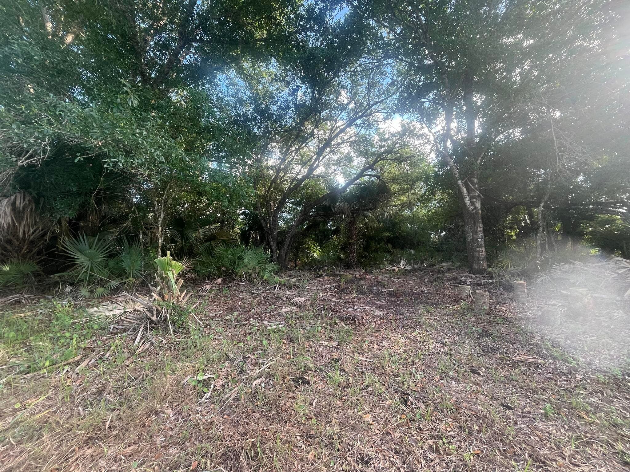 17774 NW 254th Street, Okeechobee, FL 34972 — photo 6 of 17