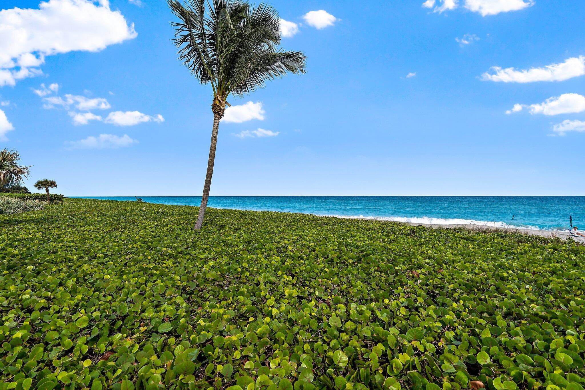 120 Celestial Way 302, Juno Beach, FL 33408 — photo 39 of 51