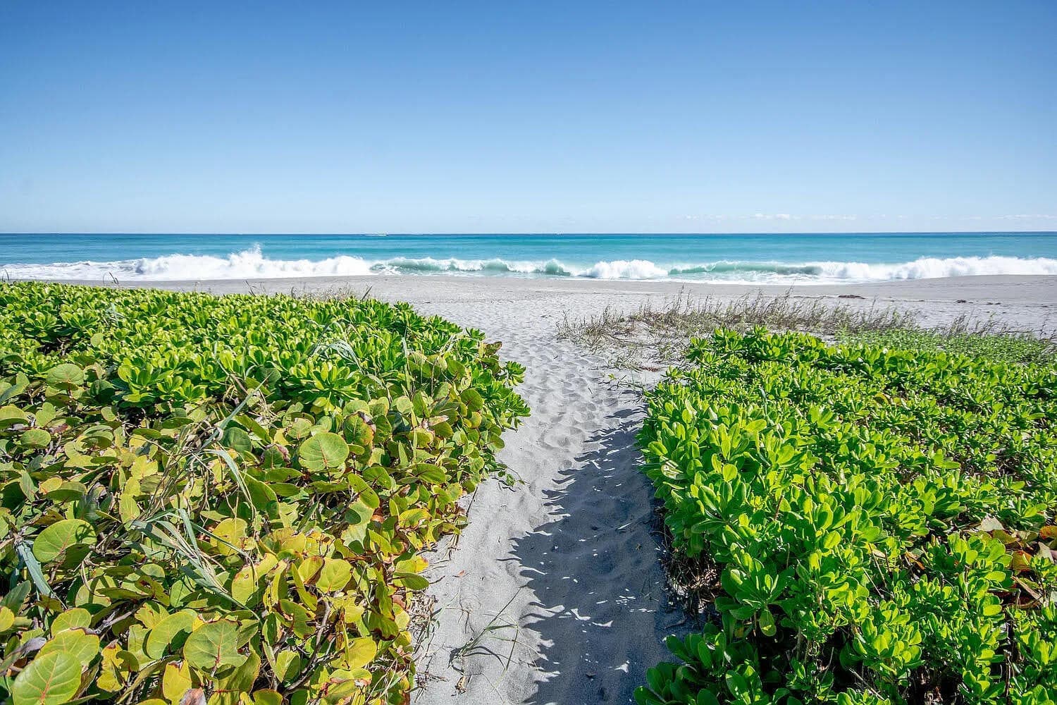 120 Celestial Way 302, Juno Beach, FL 33408 — photo 42 of 51