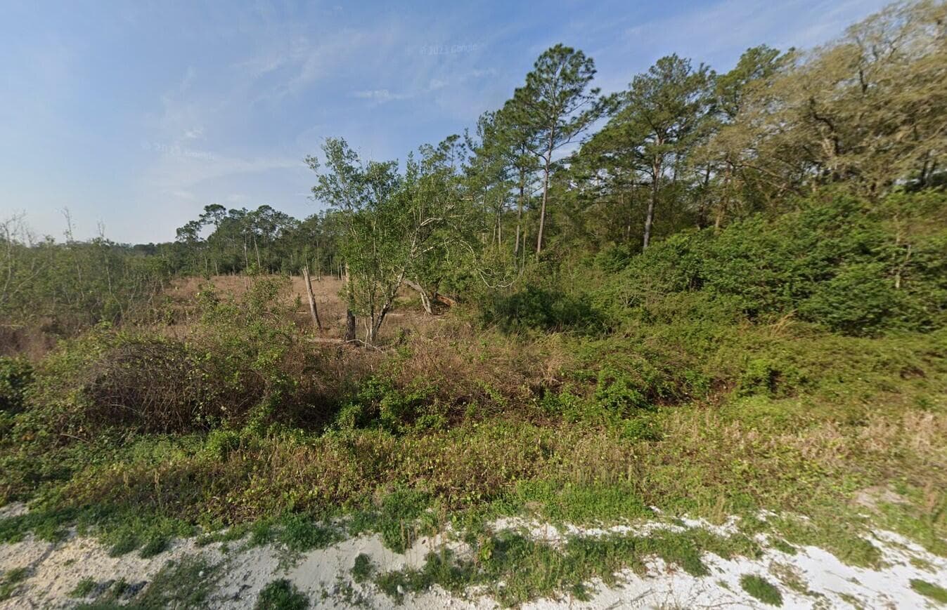 129 Fishermans Drive, Interlachen, FL 32148 — photo 8 of 9