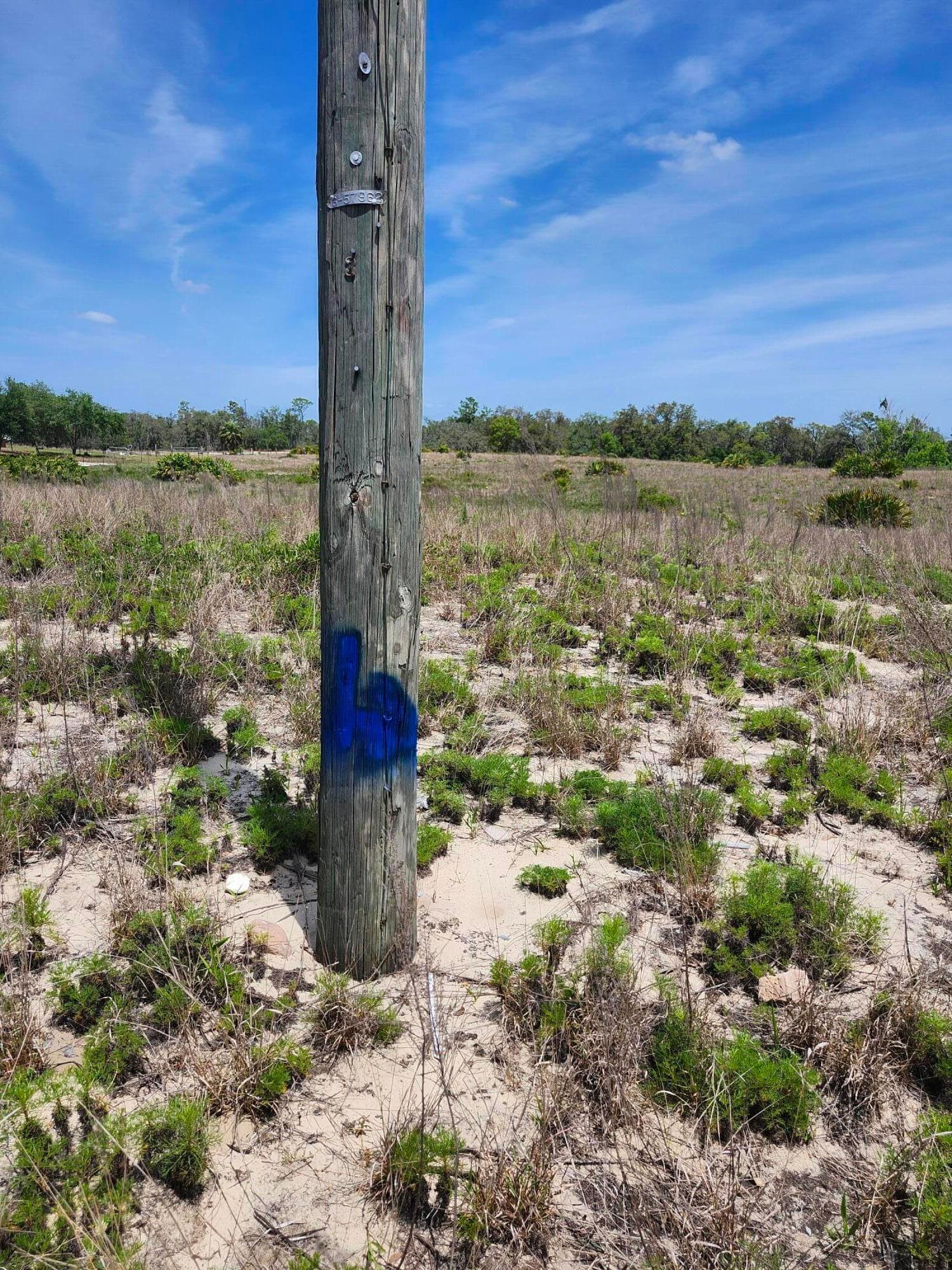Lot 30 Fazzini Road, Lake Wales, FL 33898 — photo 2 of 4