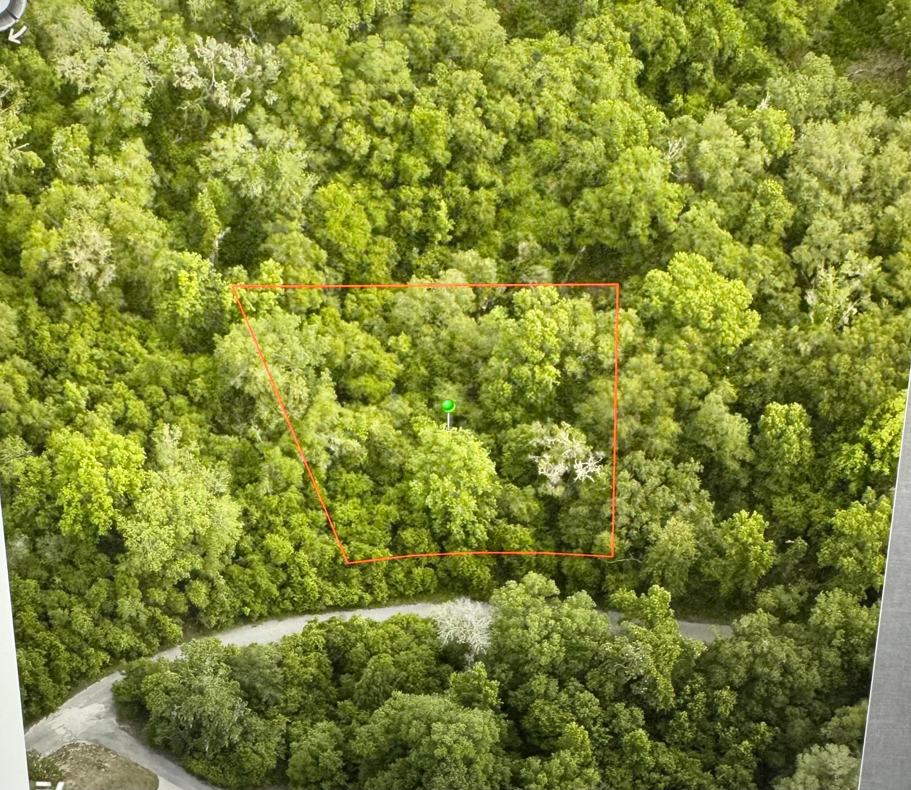 6761 E Dogwood Hammock Drive, Inverness, FL 34453 — photo
