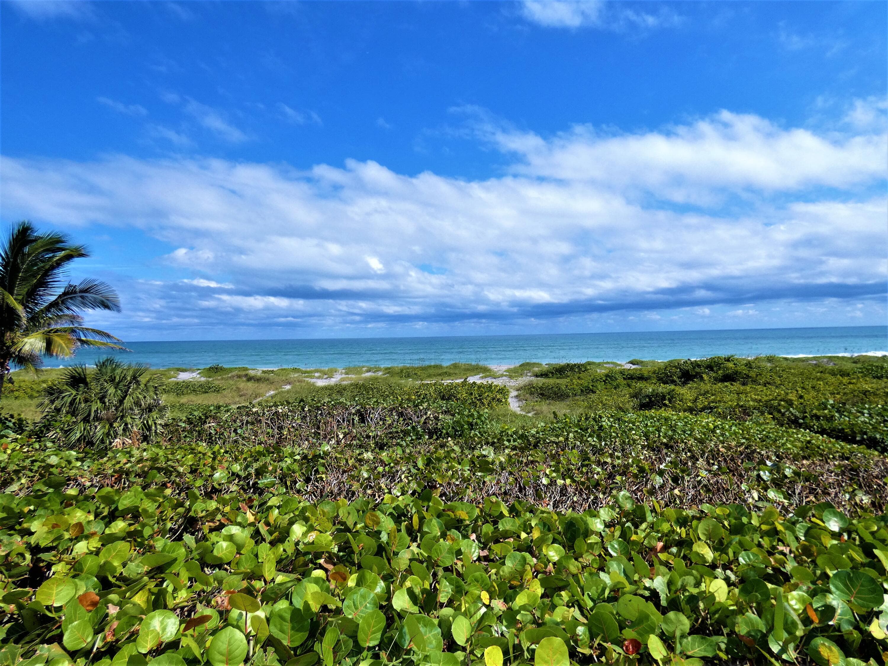 521 S Beach Road, Jupiter Island, FL 33455 — photo 24 of 24