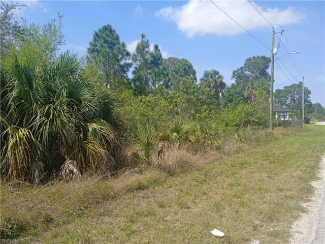 2605 N Hanna Avenue, Lehigh Acres, FL 33971 — photo 5 of 6