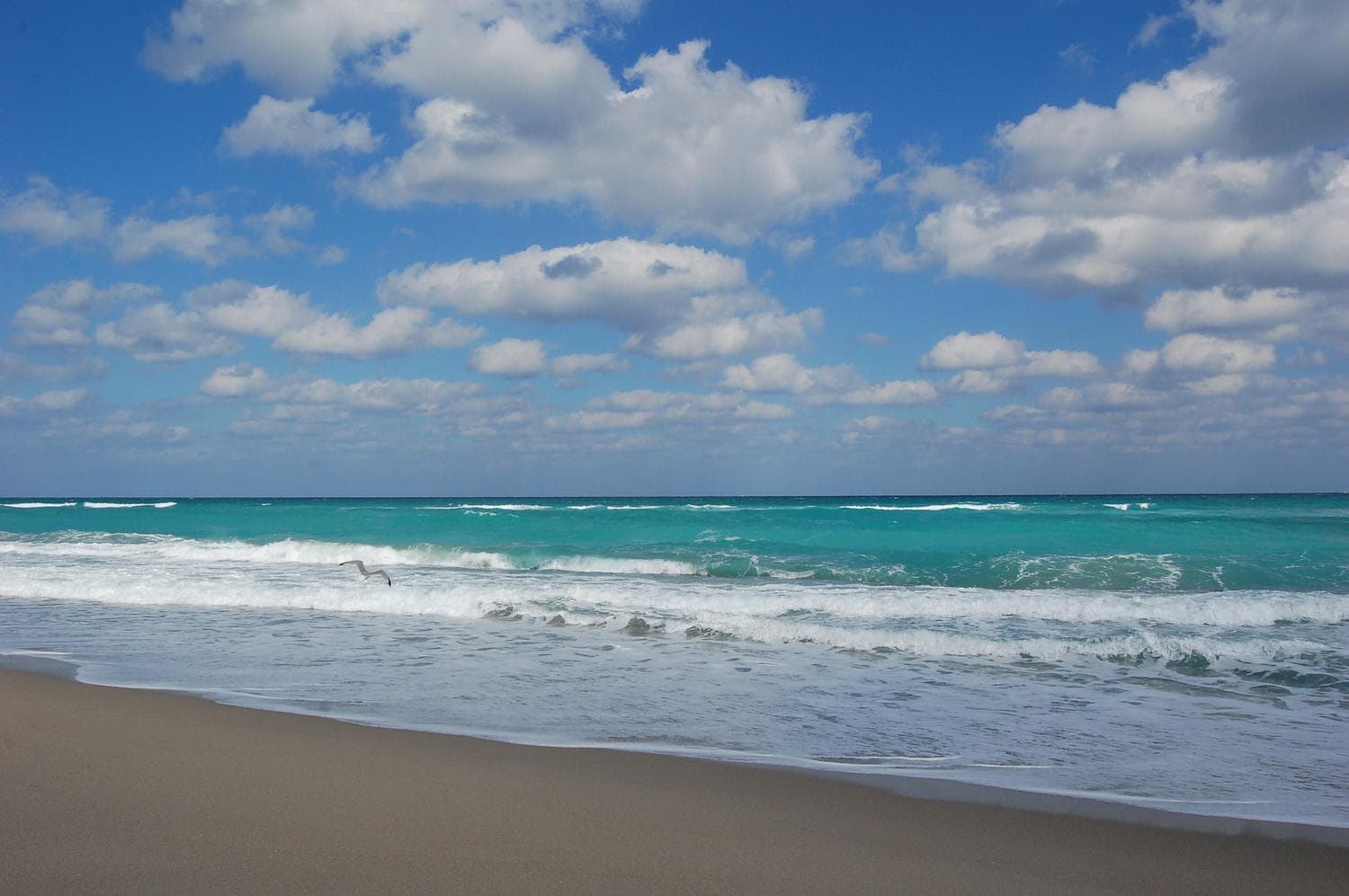 5510 N Ocean Drive 21-D, Singer Island, FL 33404 — photo 39 of 48