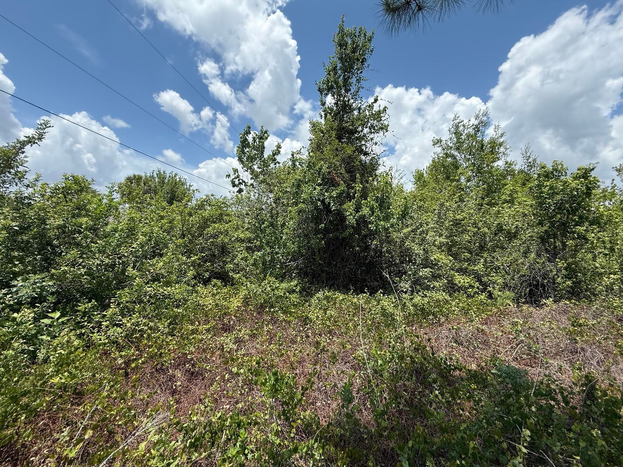 Tbd Snug Street, North Port, FL 34286 — photo 8 of 13