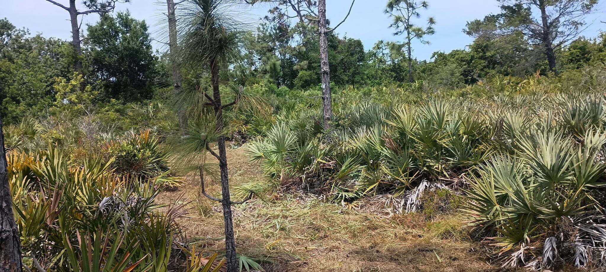 000 None, Grant Valkaria, FL 32950 — photo 4 of 7