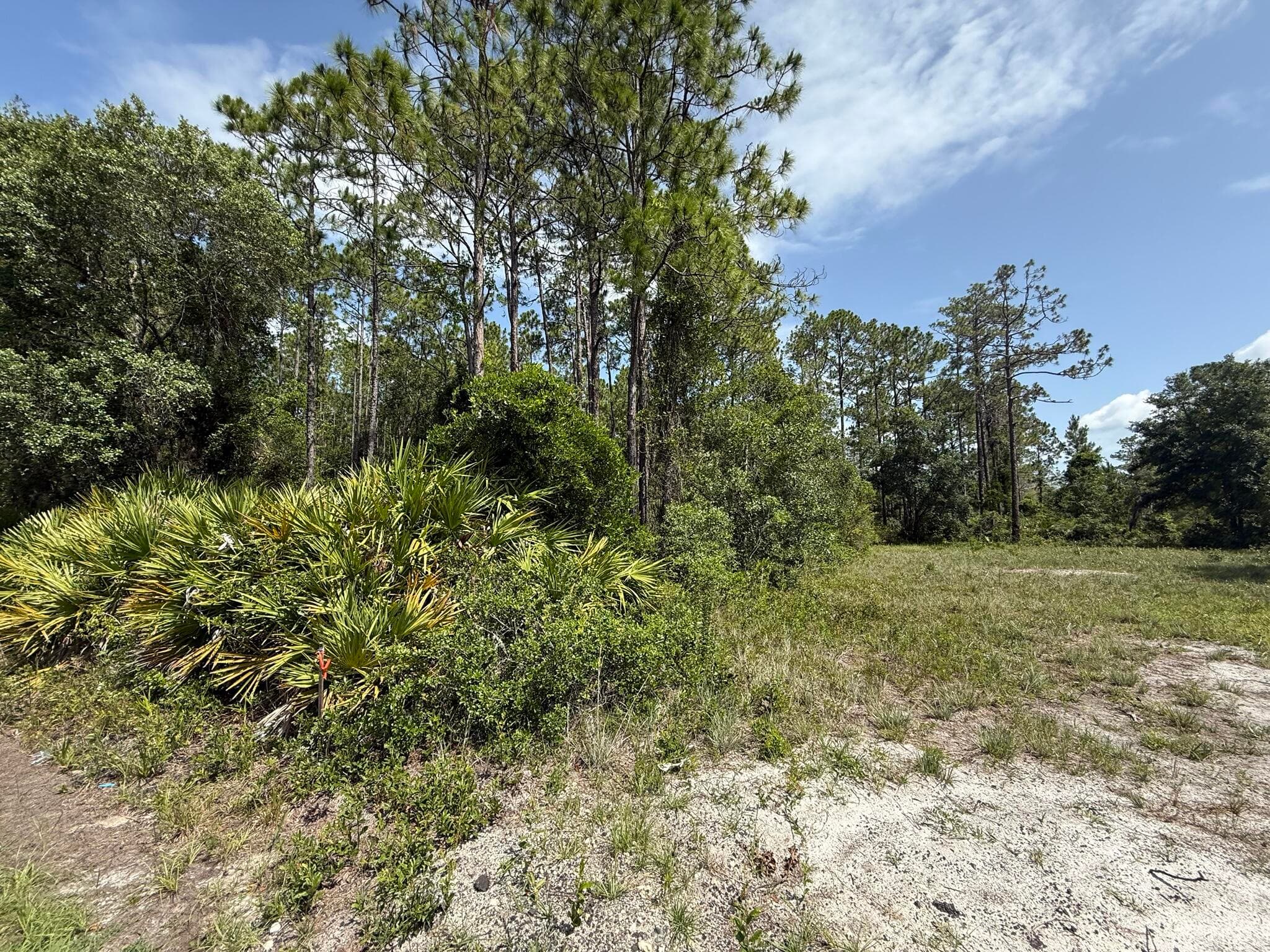174 Millican Road, Palatka, FL 32177 — photo