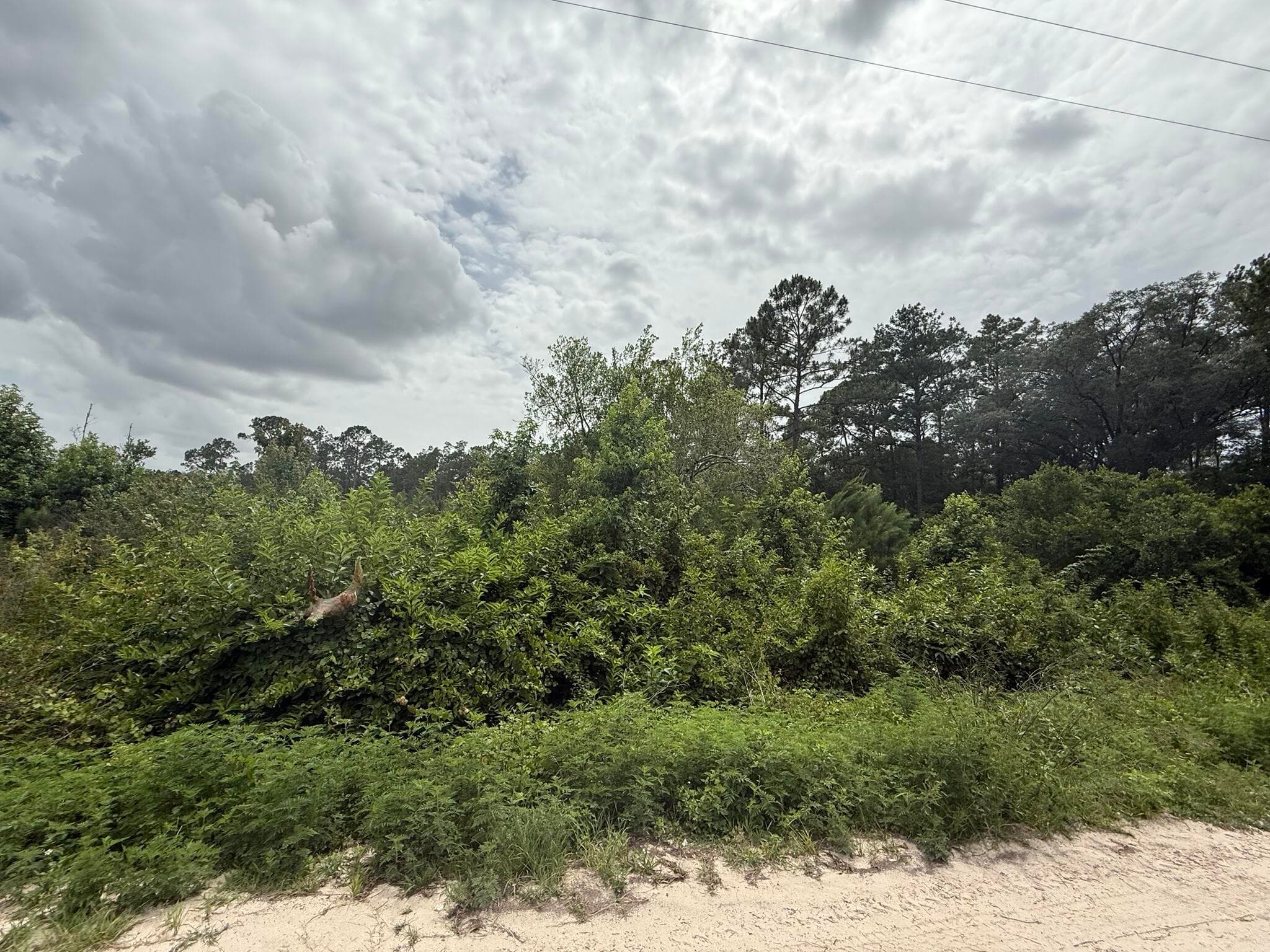 129 Fishermans Drive, Interlachen, FL 32148 — photo 1 of 9