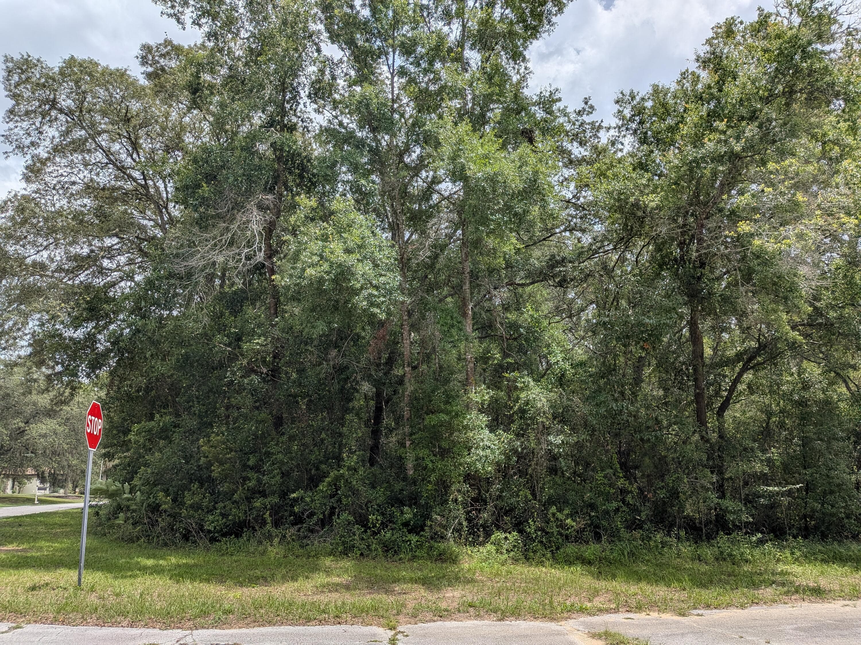 8989 N Conch Terrace, Dunnellon, FL 34434 — photo 1 of 4