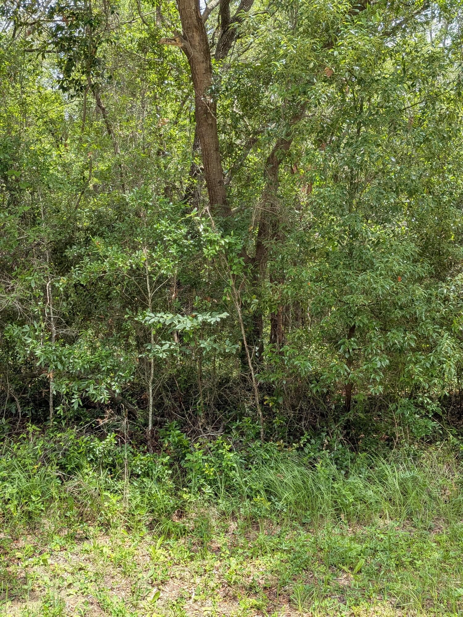 8989 N Conch Terrace, Dunnellon, FL 34434 — photo 3 of 4