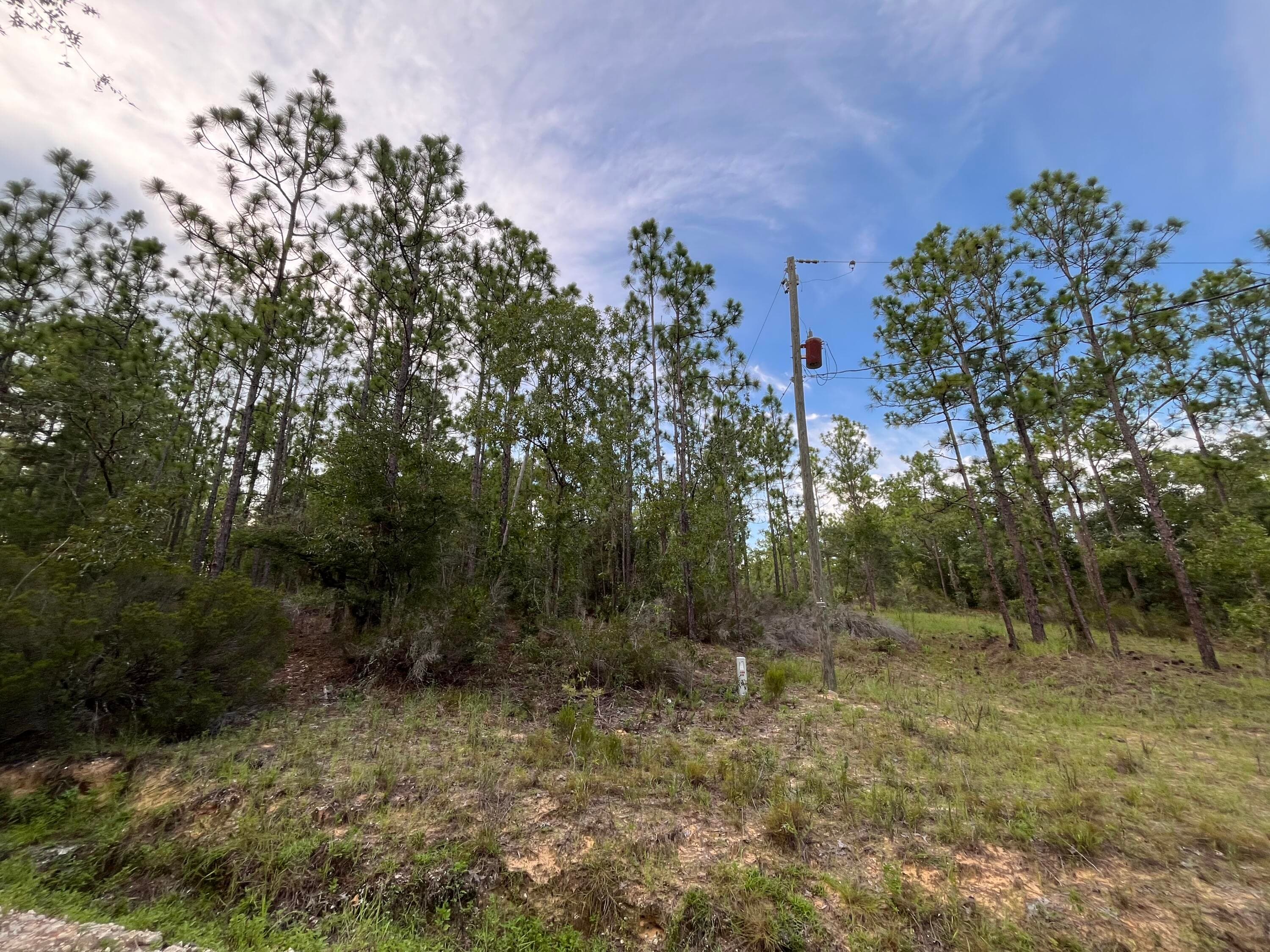124 New York Avenue, Interlachen, FL 32148 — photo 2 of 9