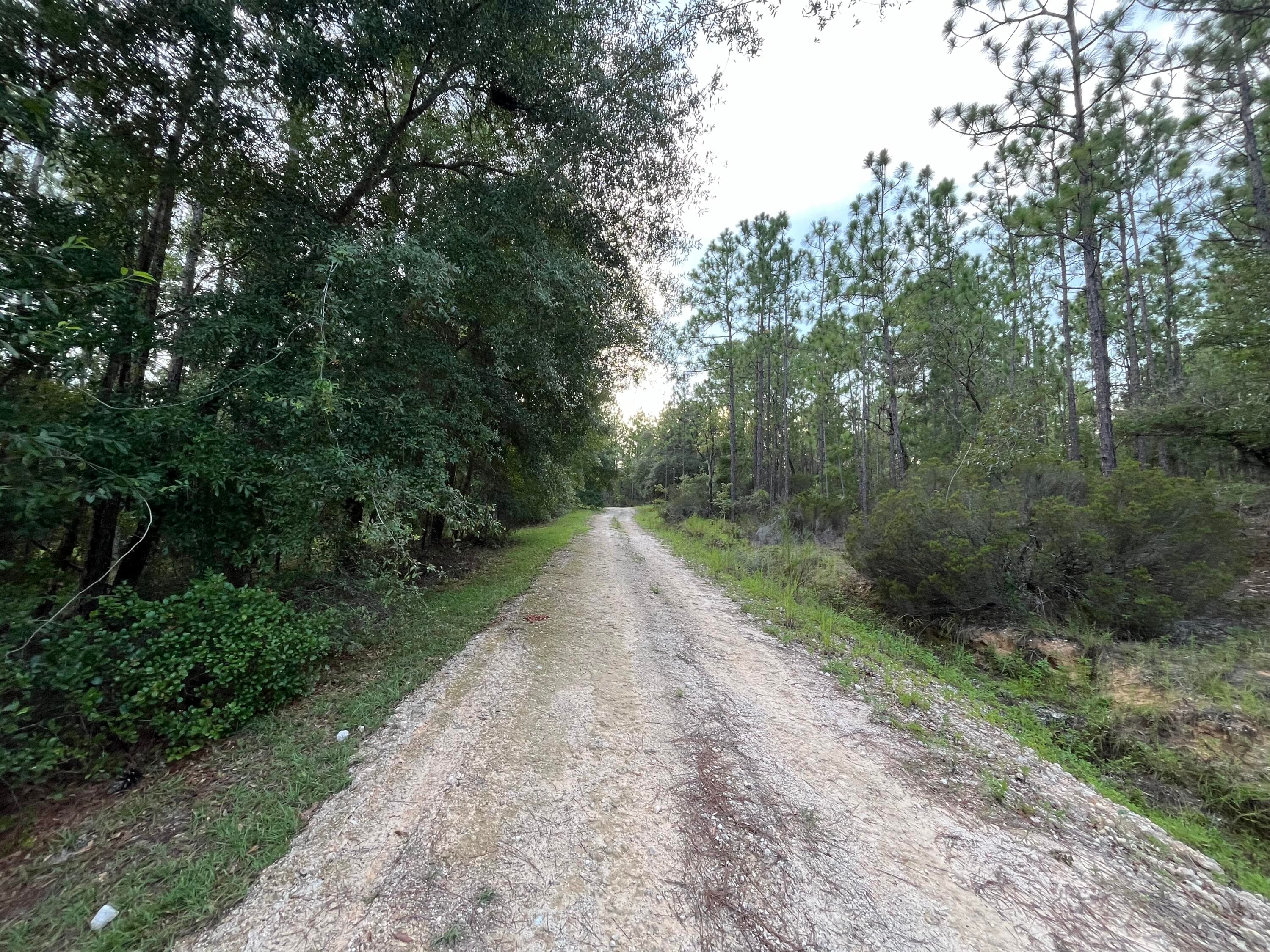 124 New York Avenue, Interlachen, FL 32148 — photo 3 of 9