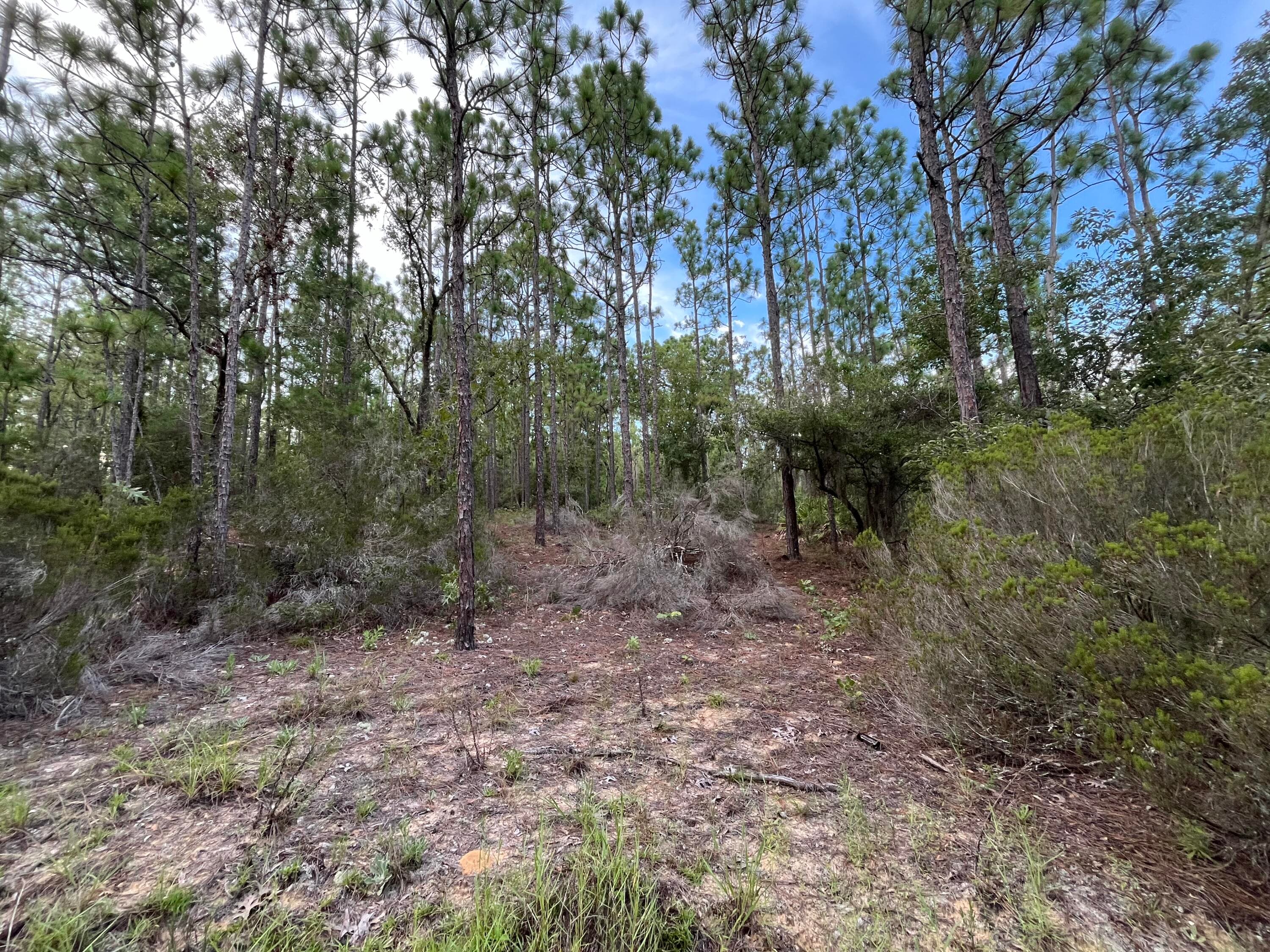 124 New York Avenue, Interlachen, FL 32148 — photo 1 of 9