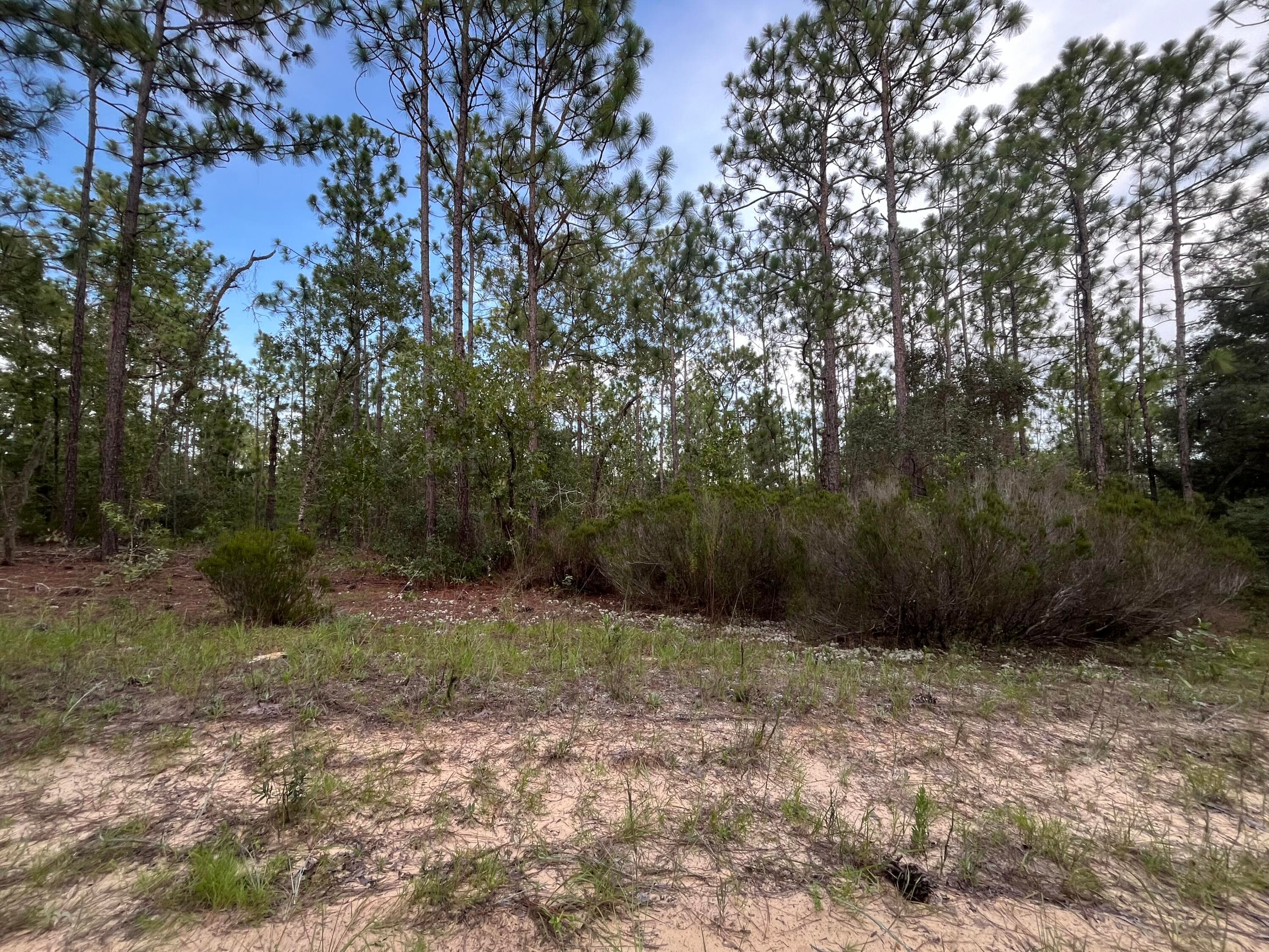 124 New York Avenue, Interlachen, FL 32148 — photo 8 of 9