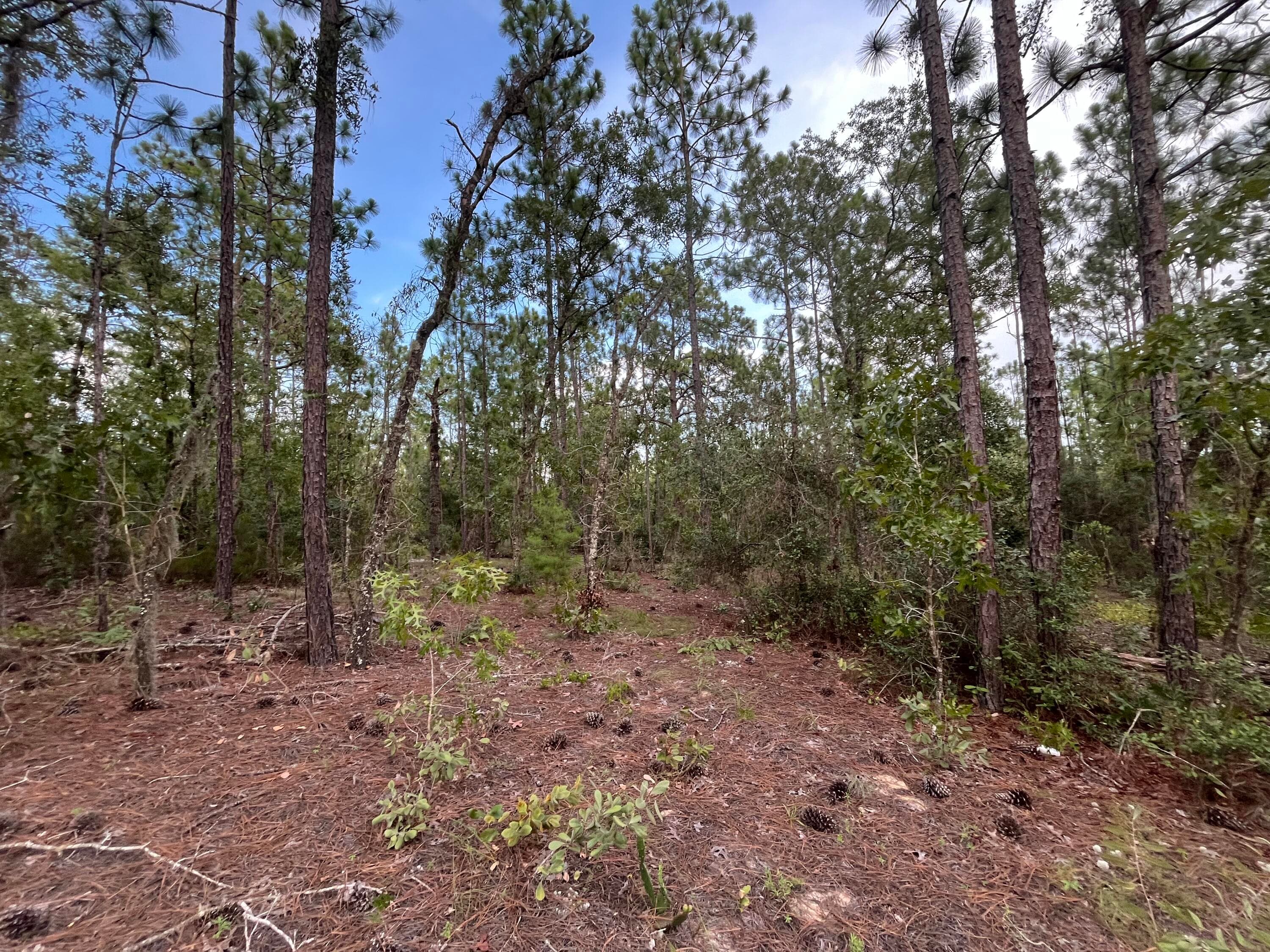 124 New York Avenue, Interlachen, FL 32148 — photo 9 of 9