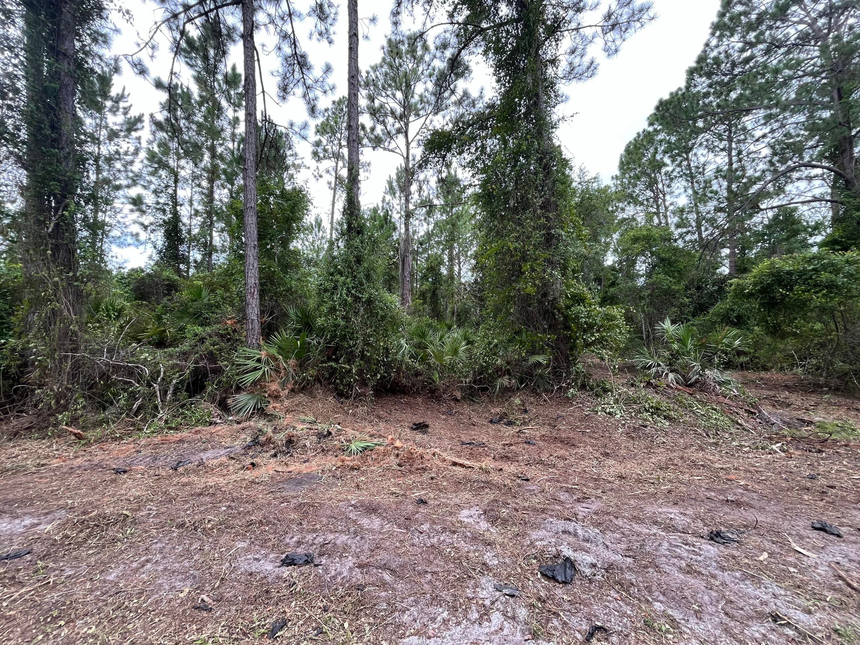 147 Roebuck Street, Georgetown, FL 32139 — photo