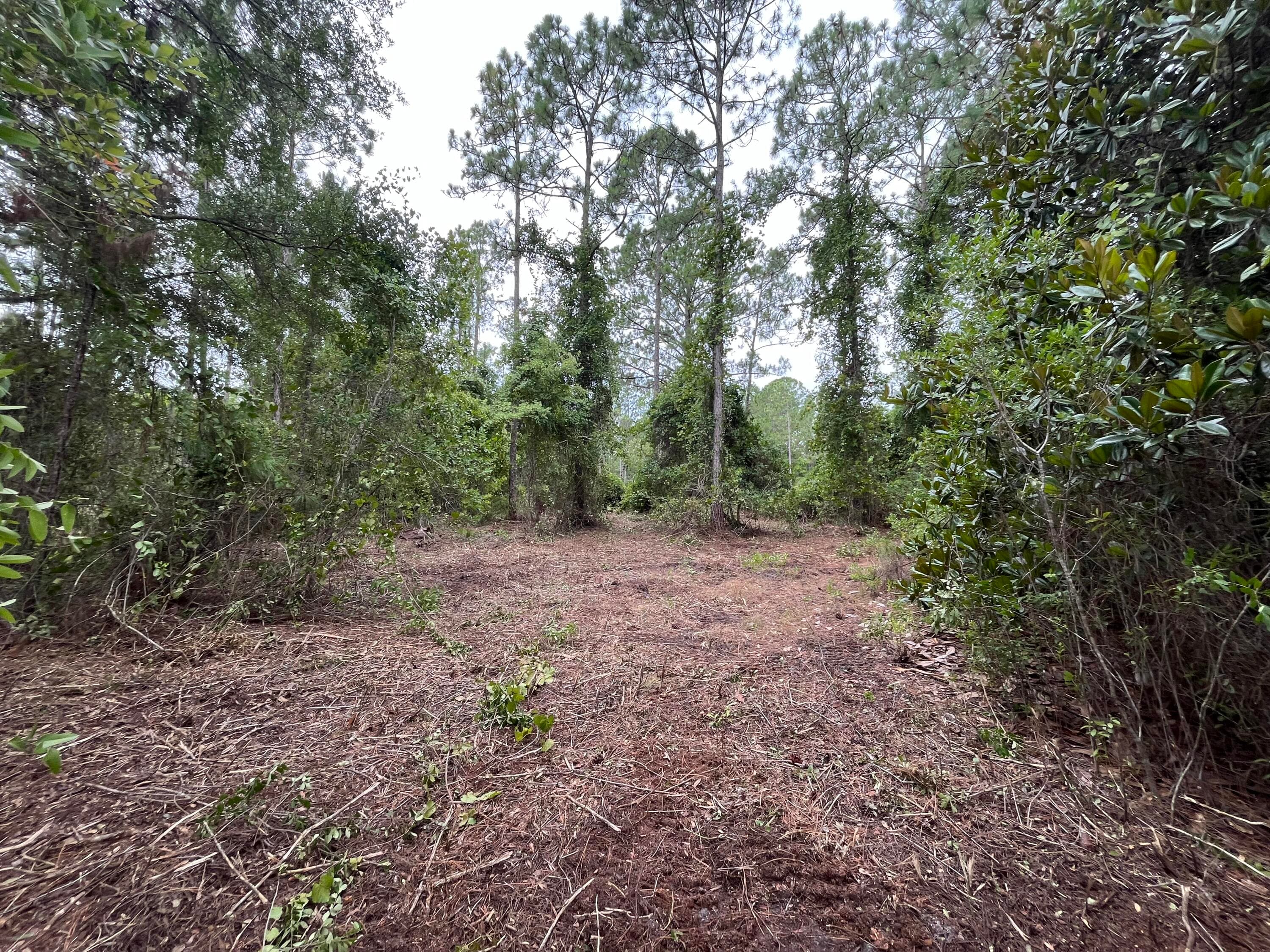 147 Roebuck Street, Georgetown, FL 32139 — photo 4 of 12