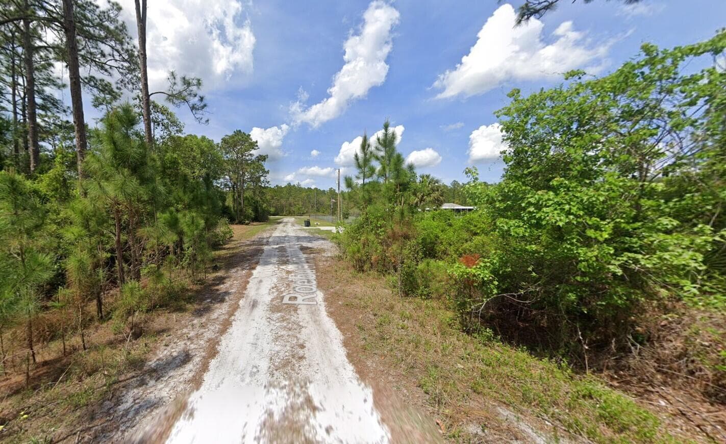 147 Roebuck Street, Georgetown, FL 32139 — photo 7 of 12