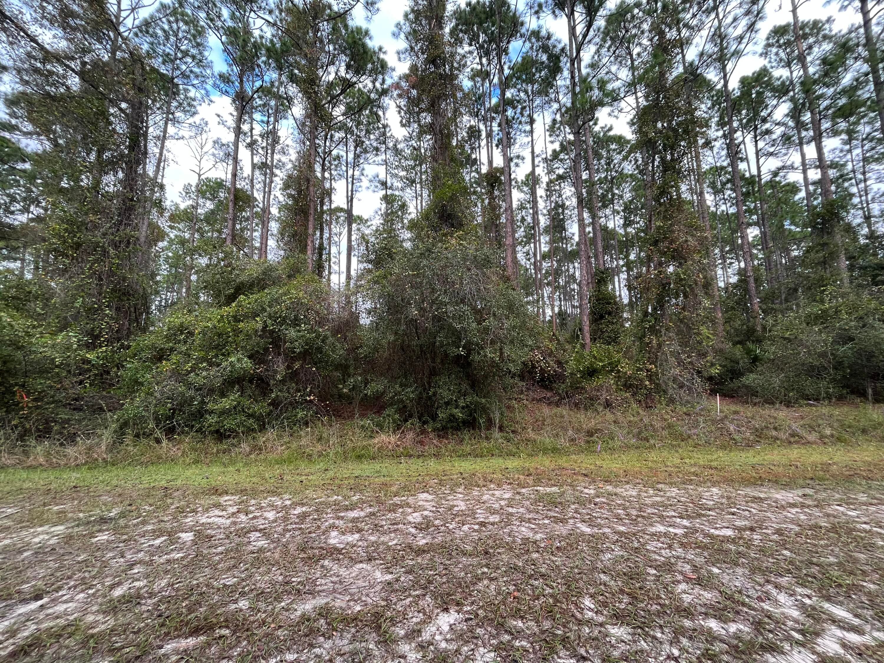 108 SE 5th Street, Georgetown, FL 32139 — photo