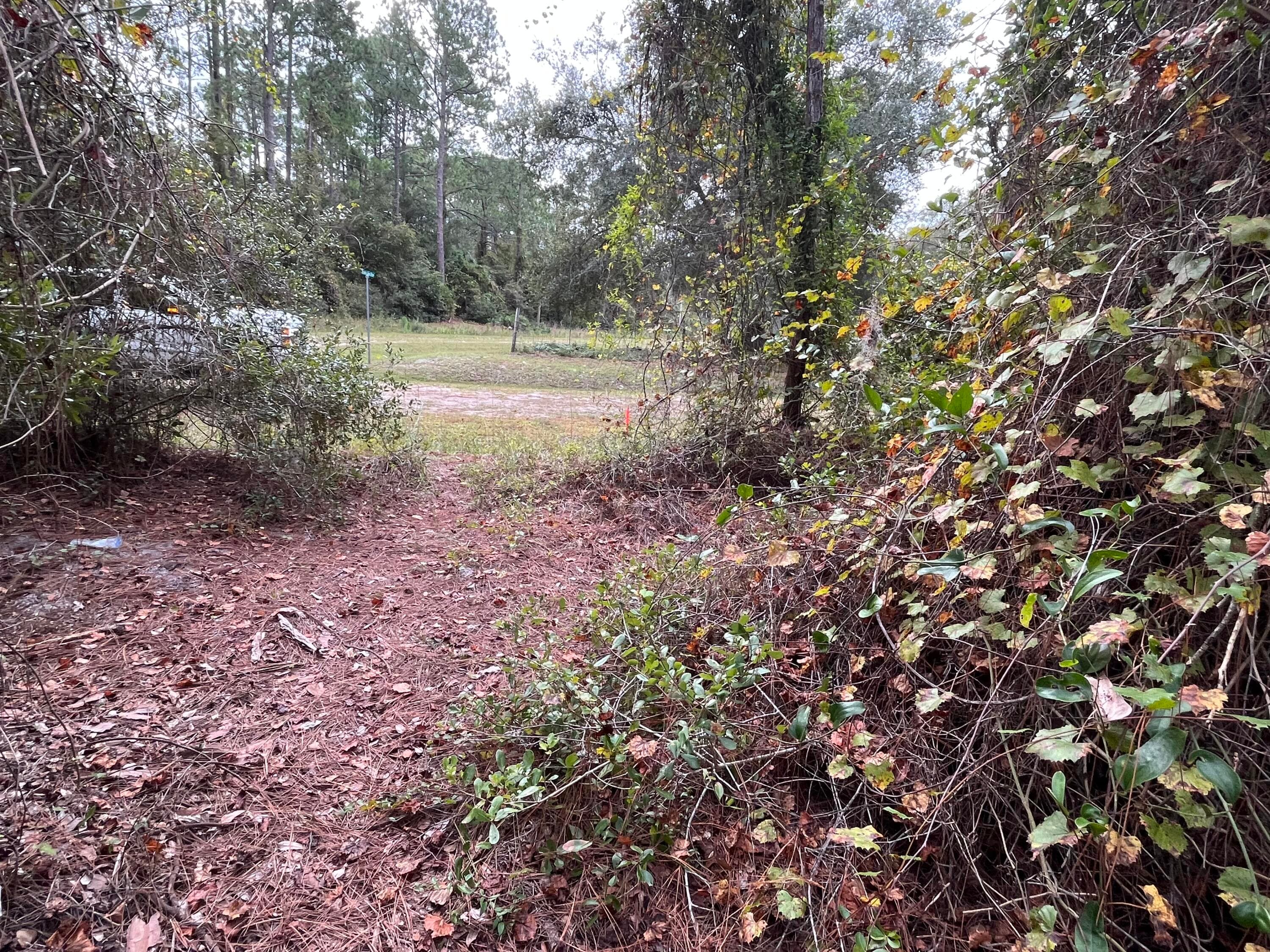 108 SE 5th Street, Georgetown, FL 32139 — photo 2 of 5