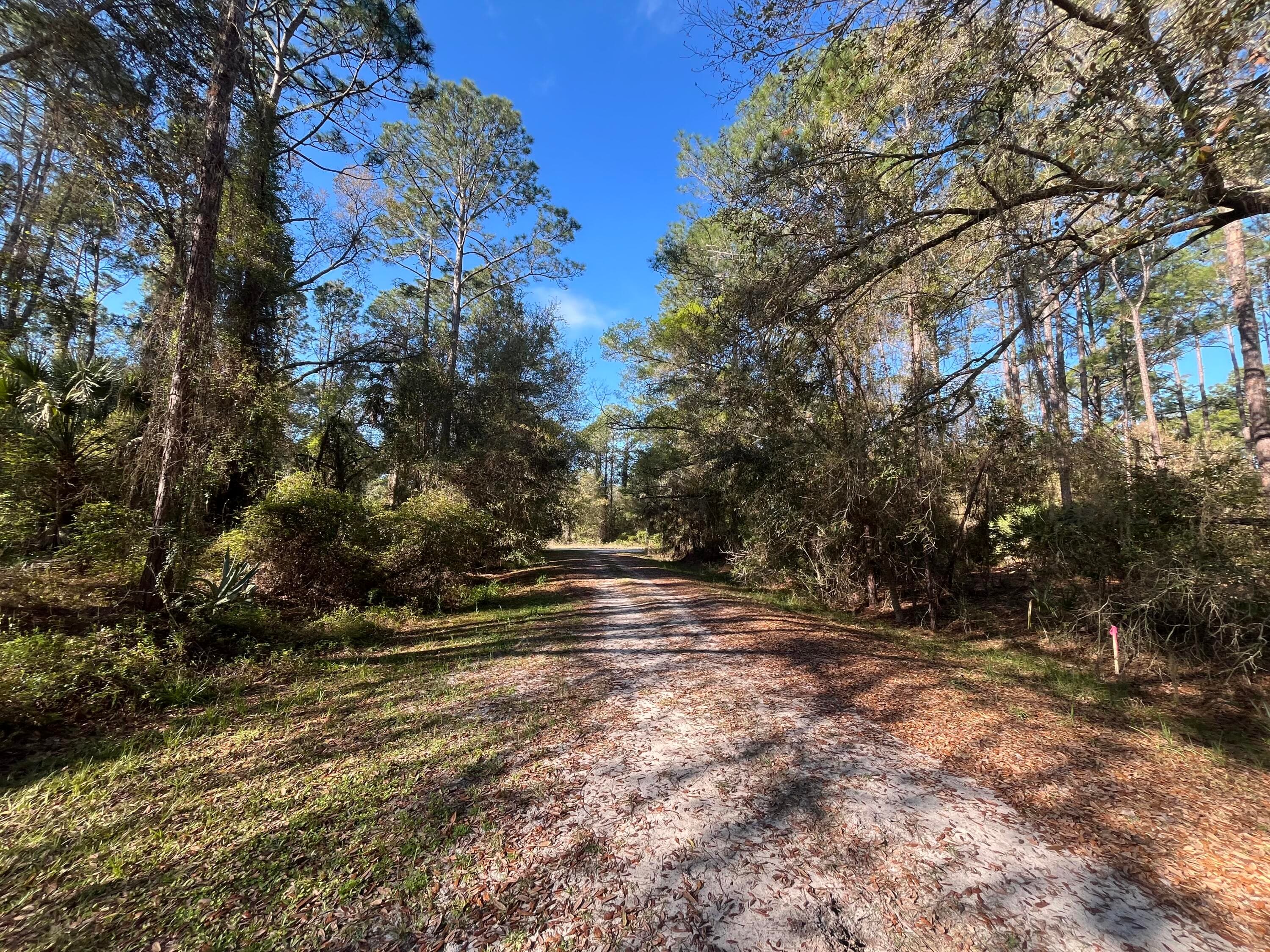 104 SE 5th Street, Georgetown, FL 32139 — photo 2 of 5