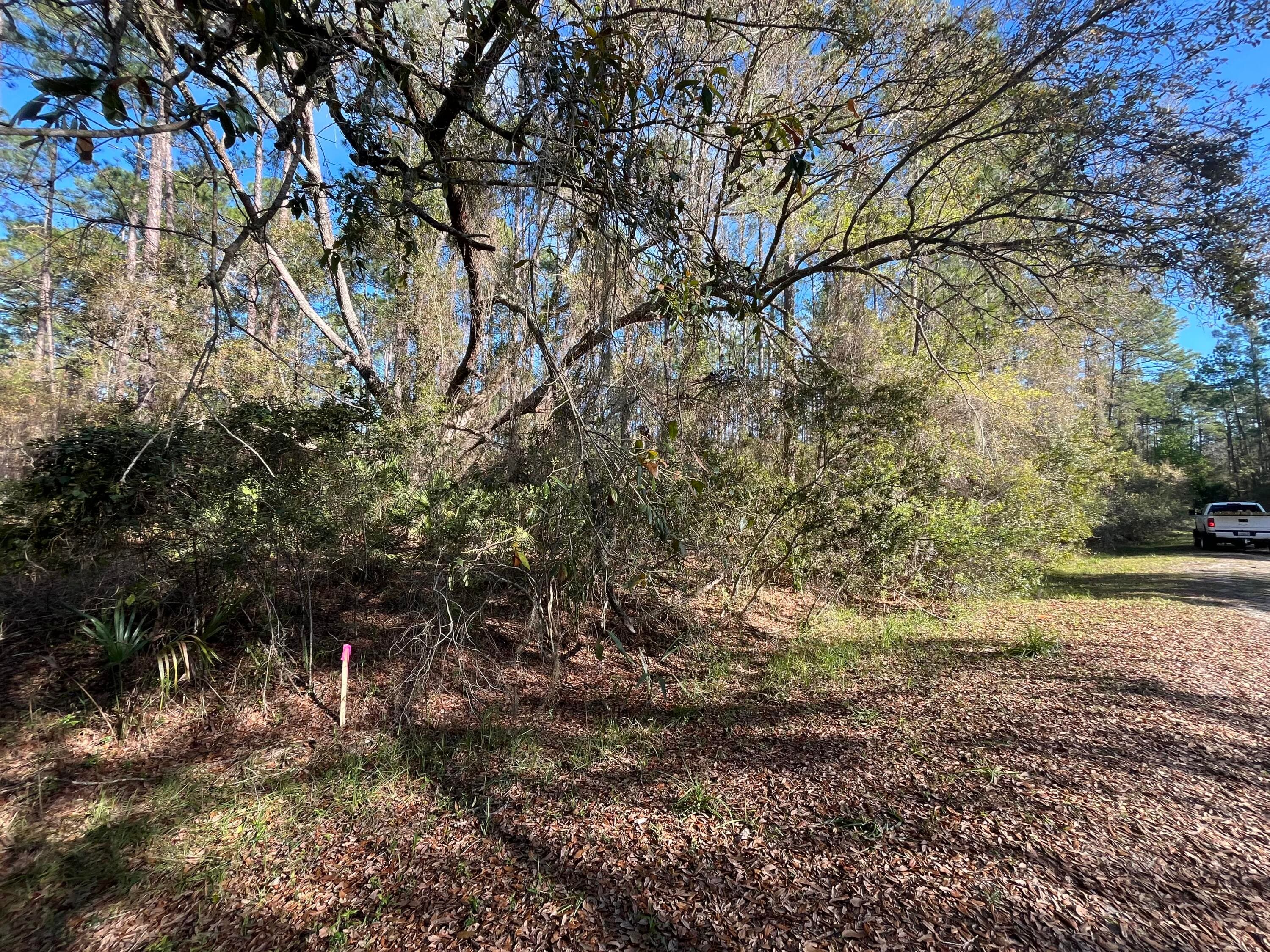 104 SE 5th Street, Georgetown, FL 32139 — photo