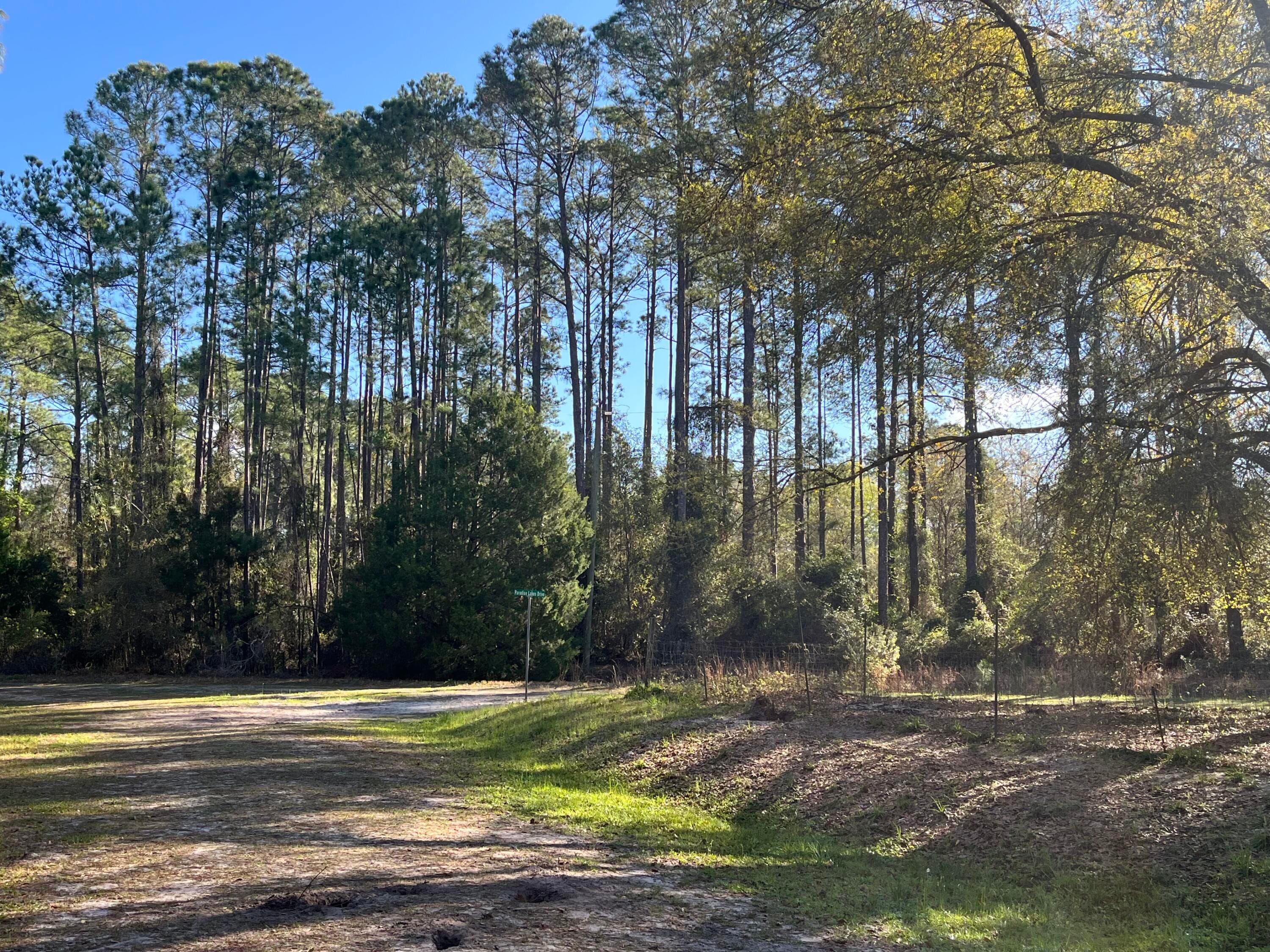 104 SE 5th Street, Georgetown, FL 32139 — photo 5 of 5
