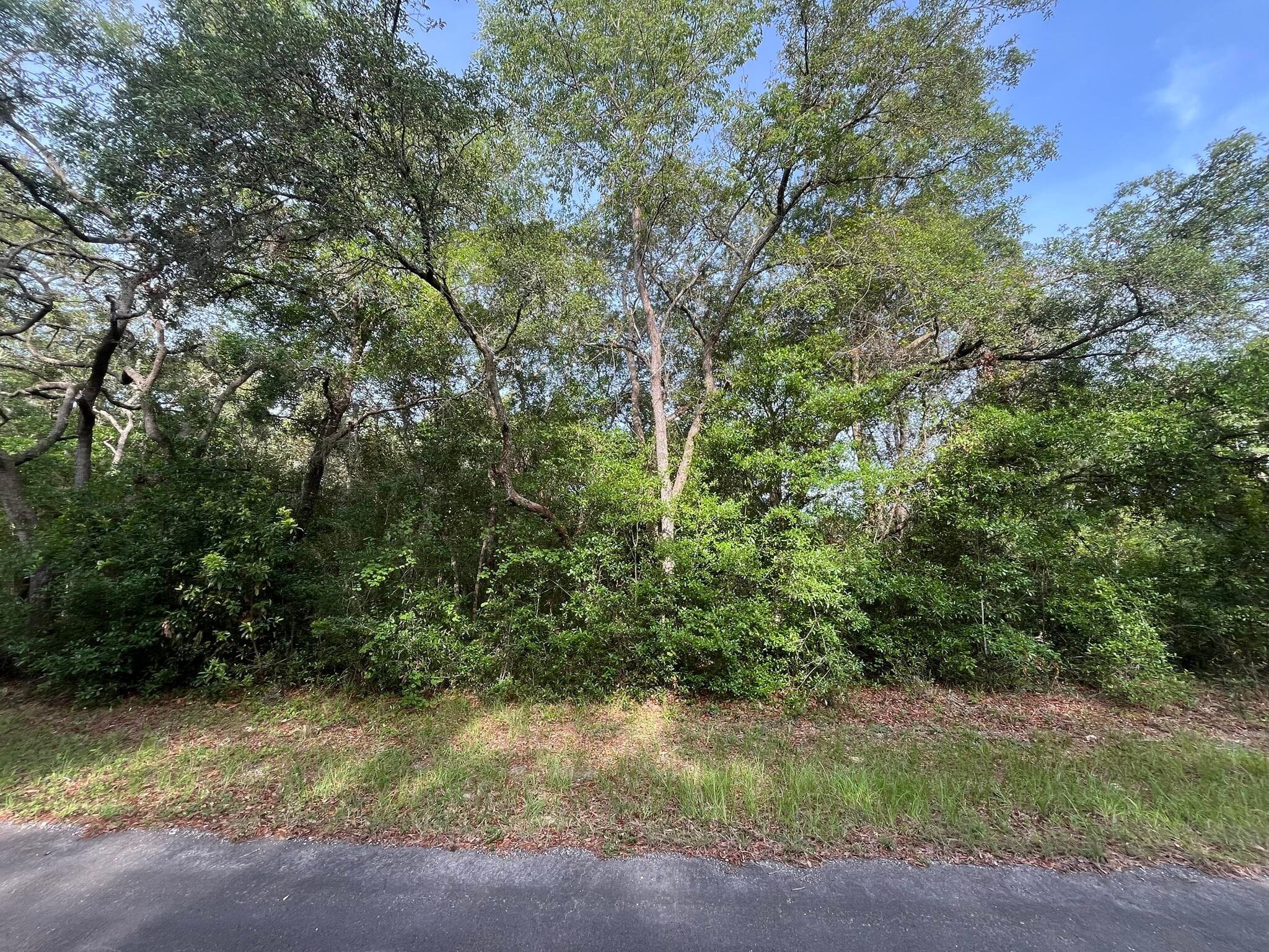 6634 N Pagoda Tree Terrace, Hernando, FL 34442 — photo 6 of 9