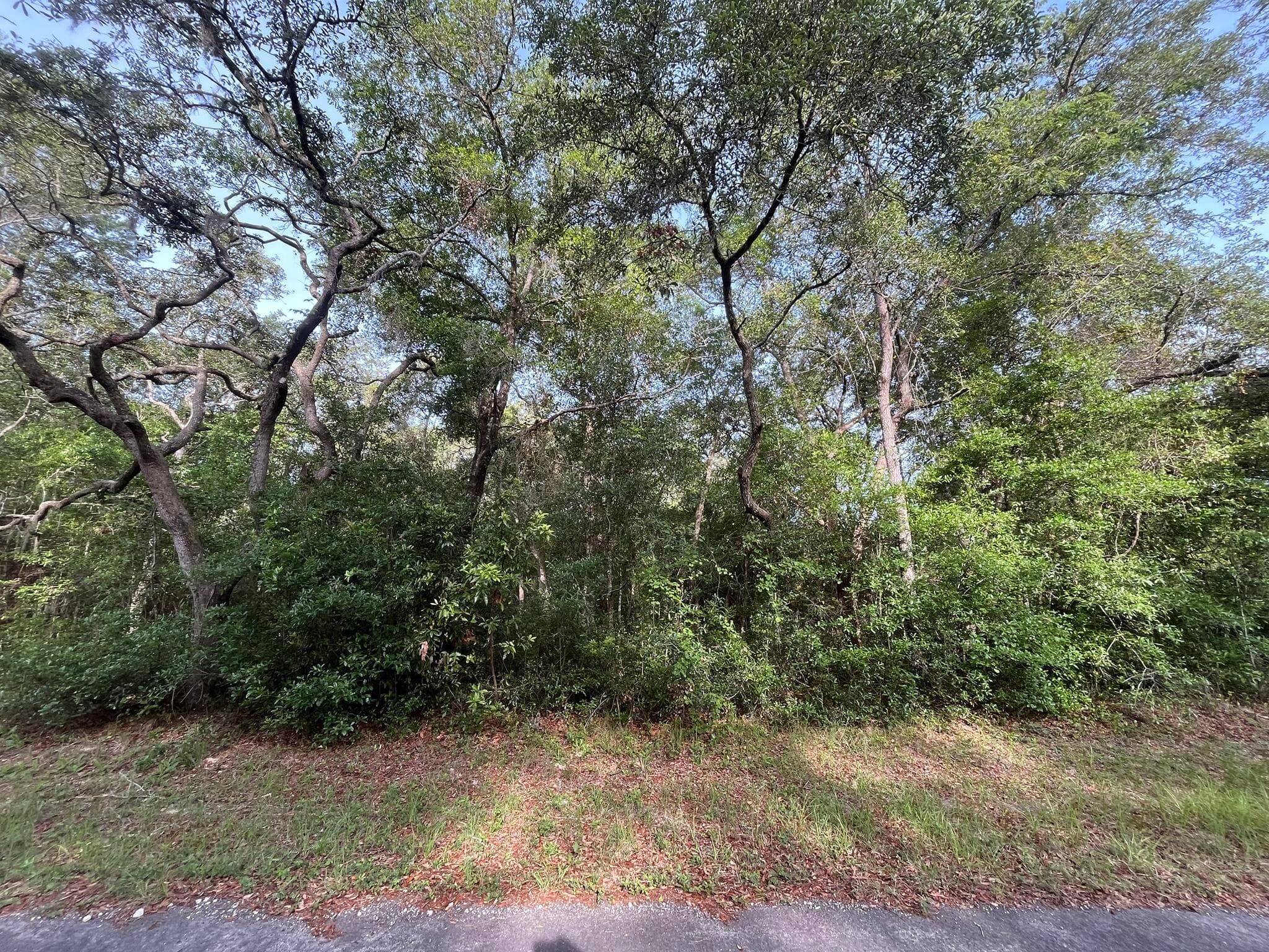 6634 N Pagoda Tree Terrace, Hernando, FL 34442 — photo 7 of 9