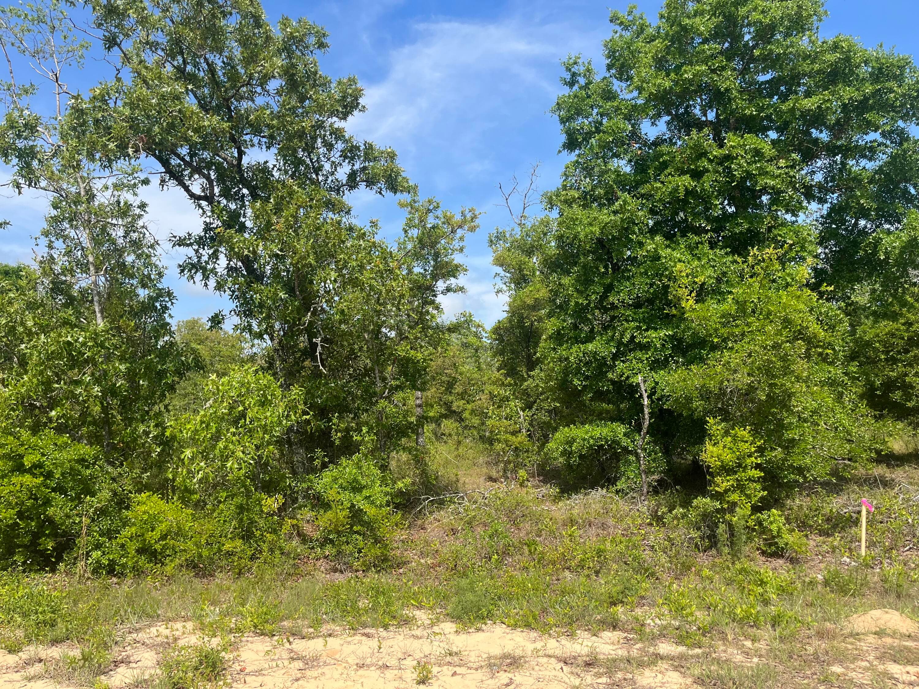 Tbd Rome Avenue, Alford, FL 32420 — photo