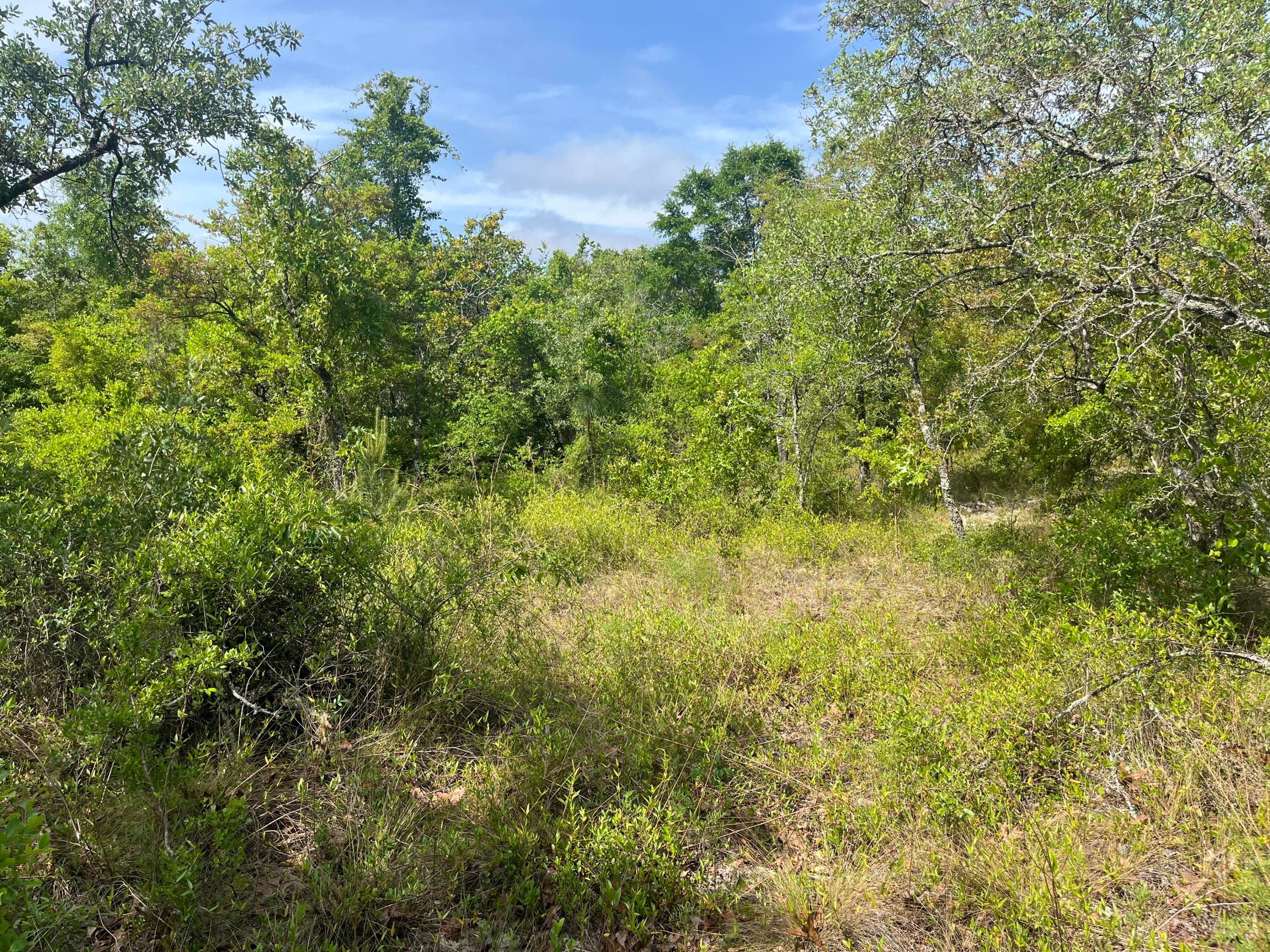 Tbd Rome Avenue, Alford, FL 32420 — photo 3 of 13