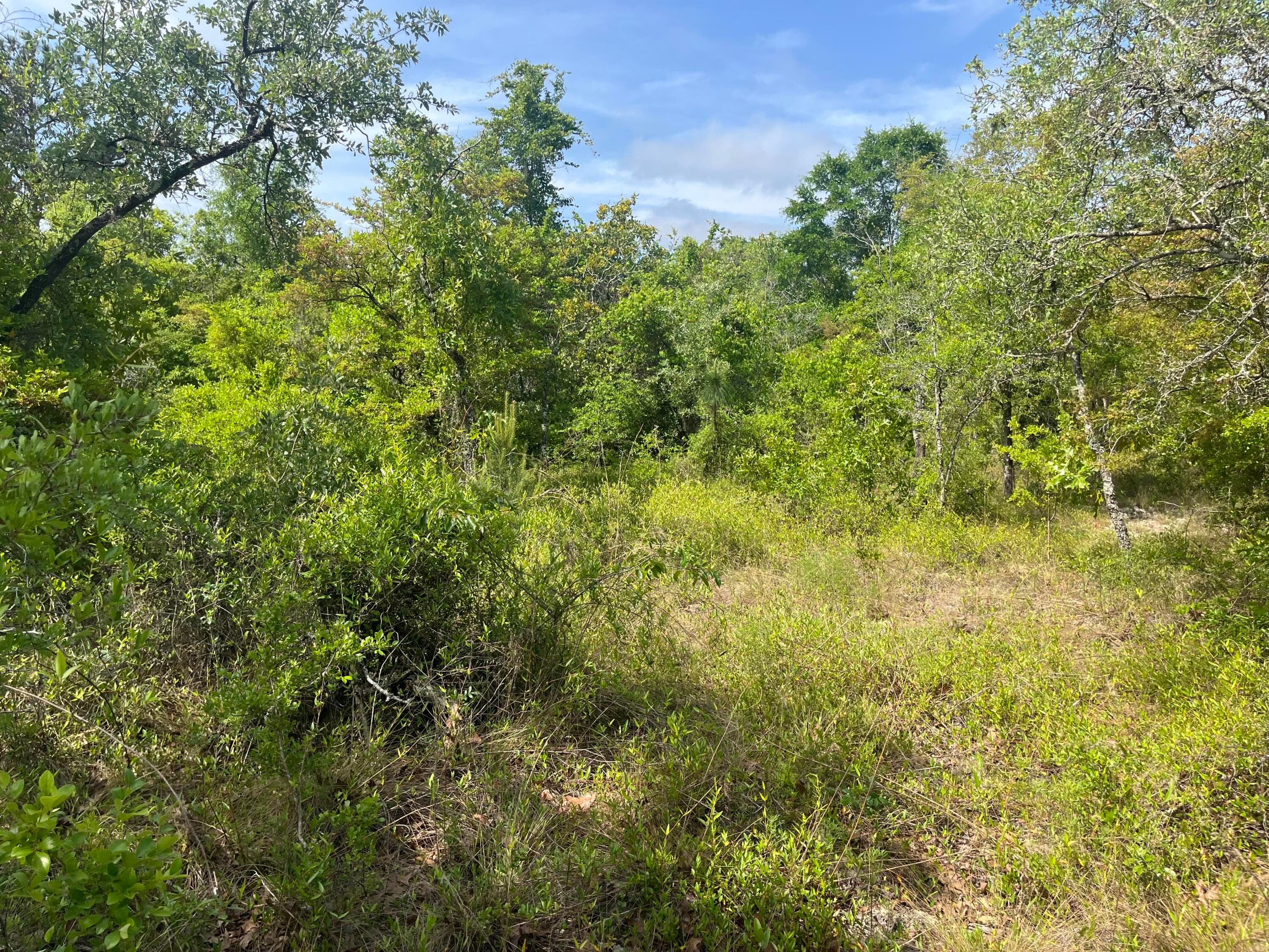 Tbd Rome Avenue, Alford, FL 32420 — photo 4 of 13