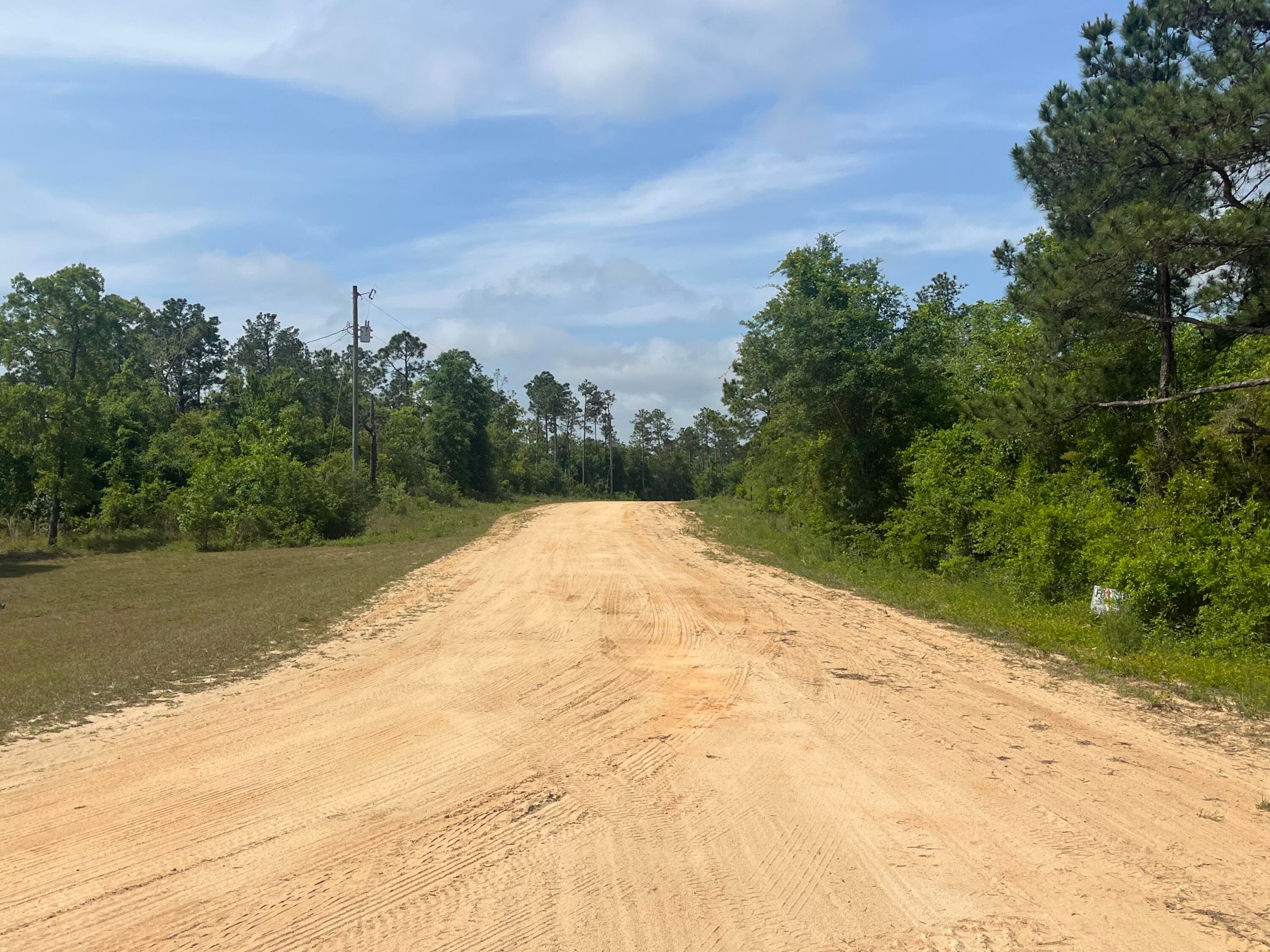 Tbd Rome Avenue, Alford, FL 32420 — photo 6 of 13